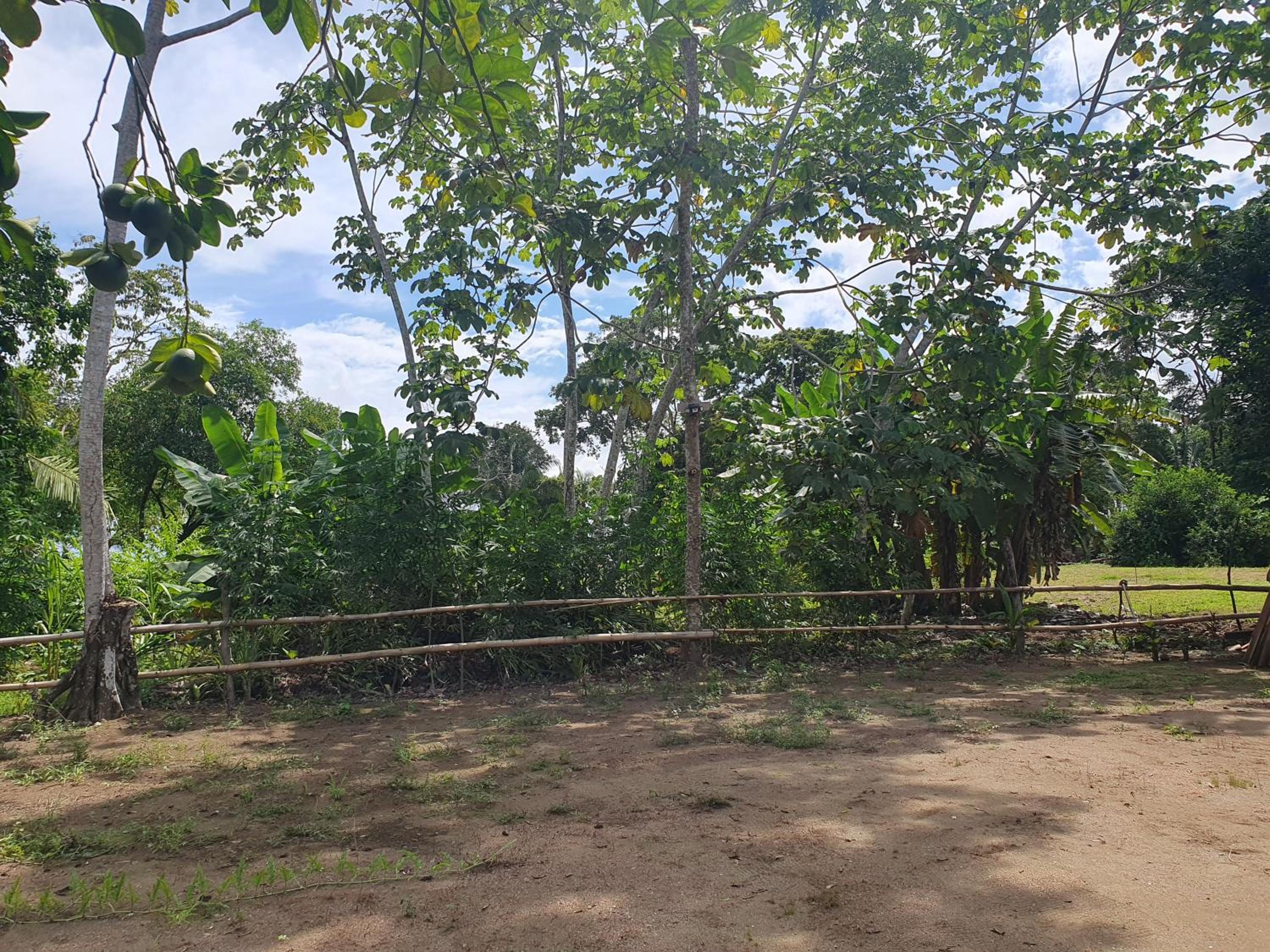 Manzanillo Ecolodge