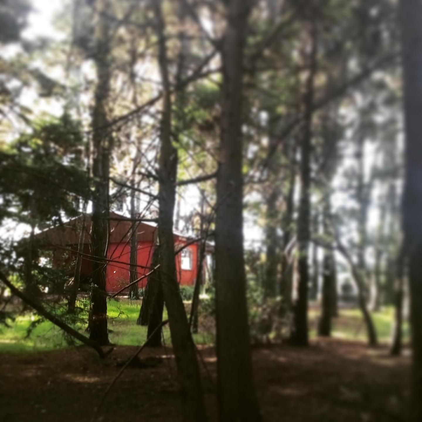 la casita del bosque