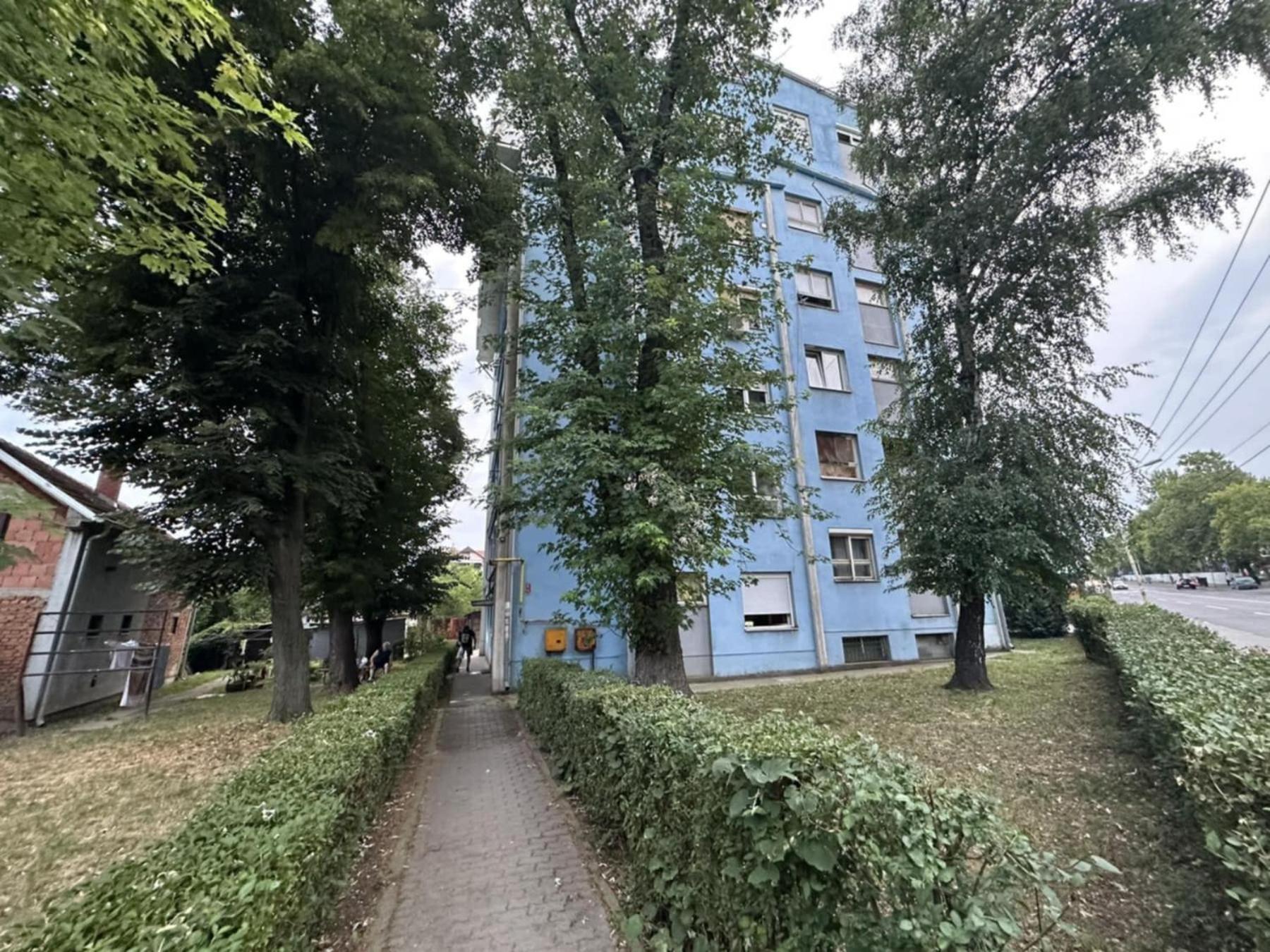 Delfin apartmani