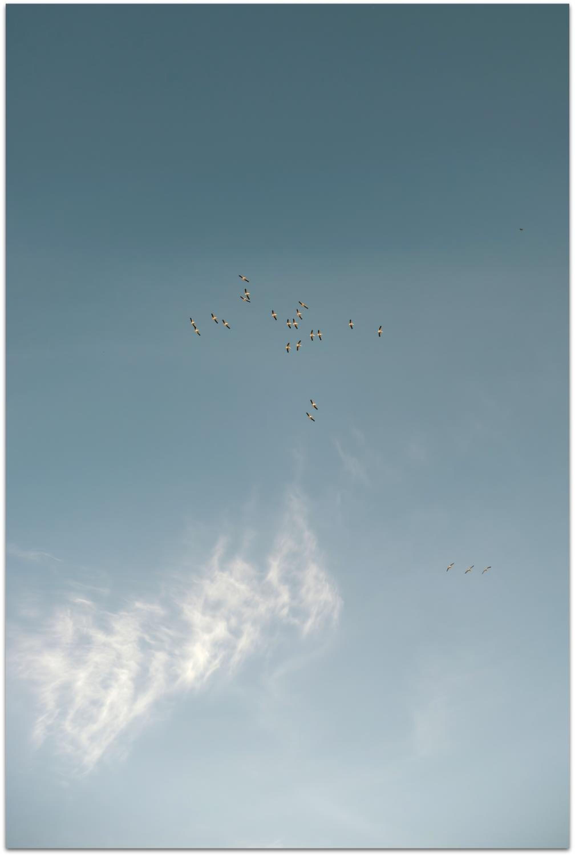 Photo 32