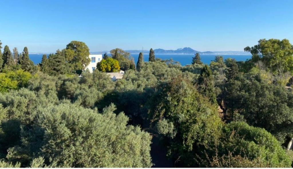 L'Atelier, appart terrasse Piscine à Sidi Bou Said view 4
