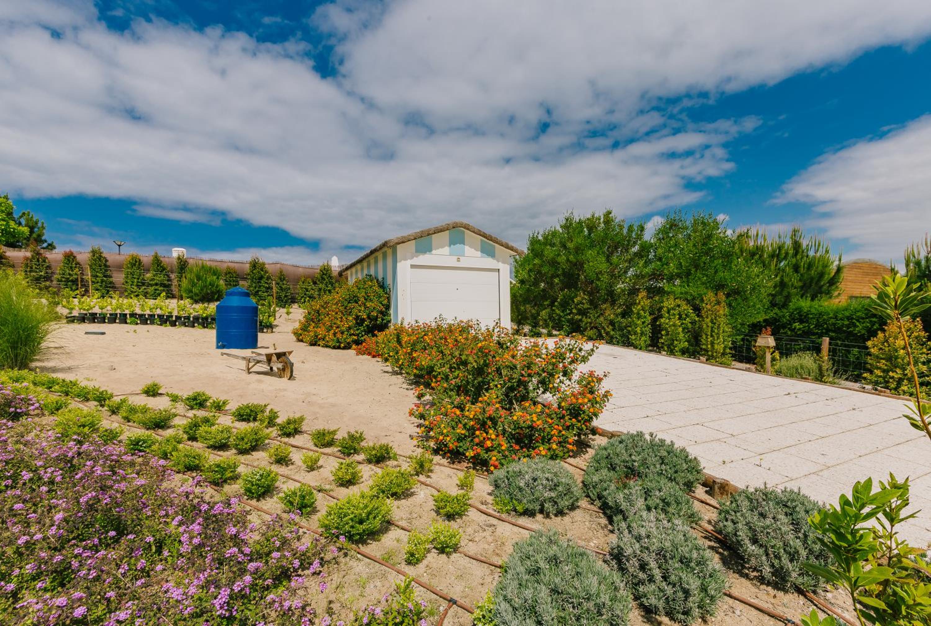 Comporta luxury villa near the beach