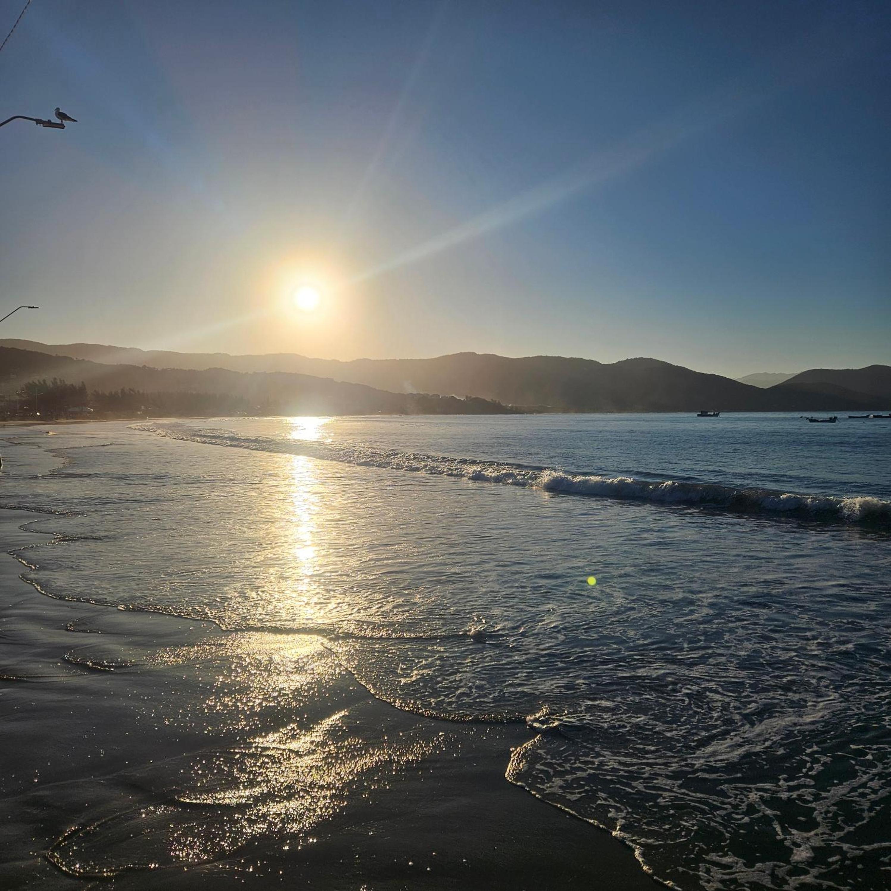 Photo 259