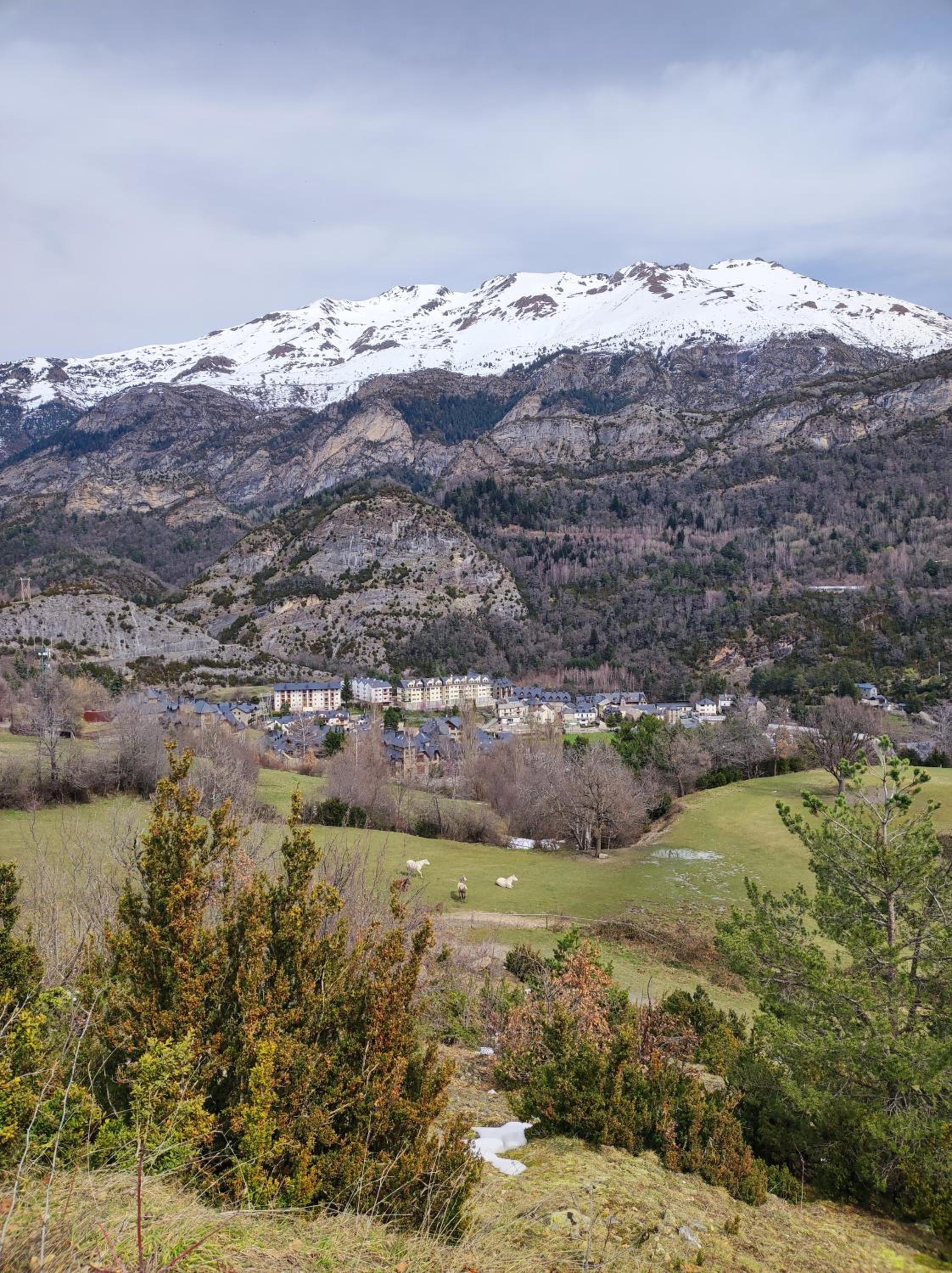 Apartamento Vico