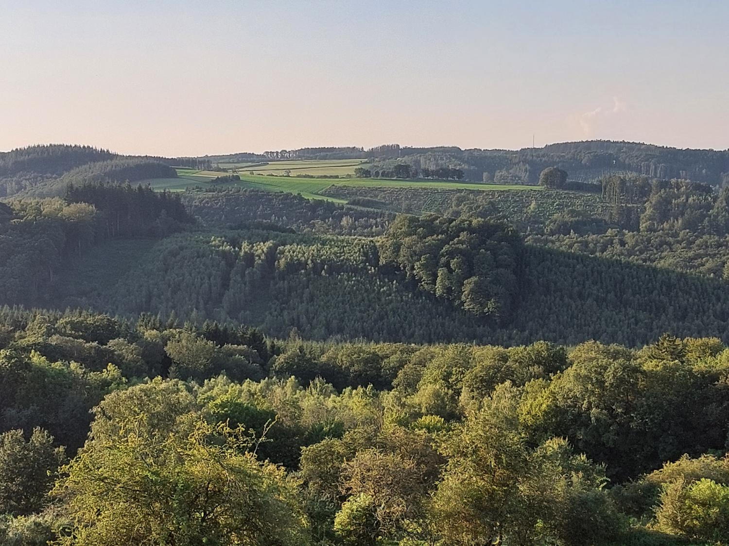 Cha Cha de Loup Luxe B&B - Vakantiewoning
