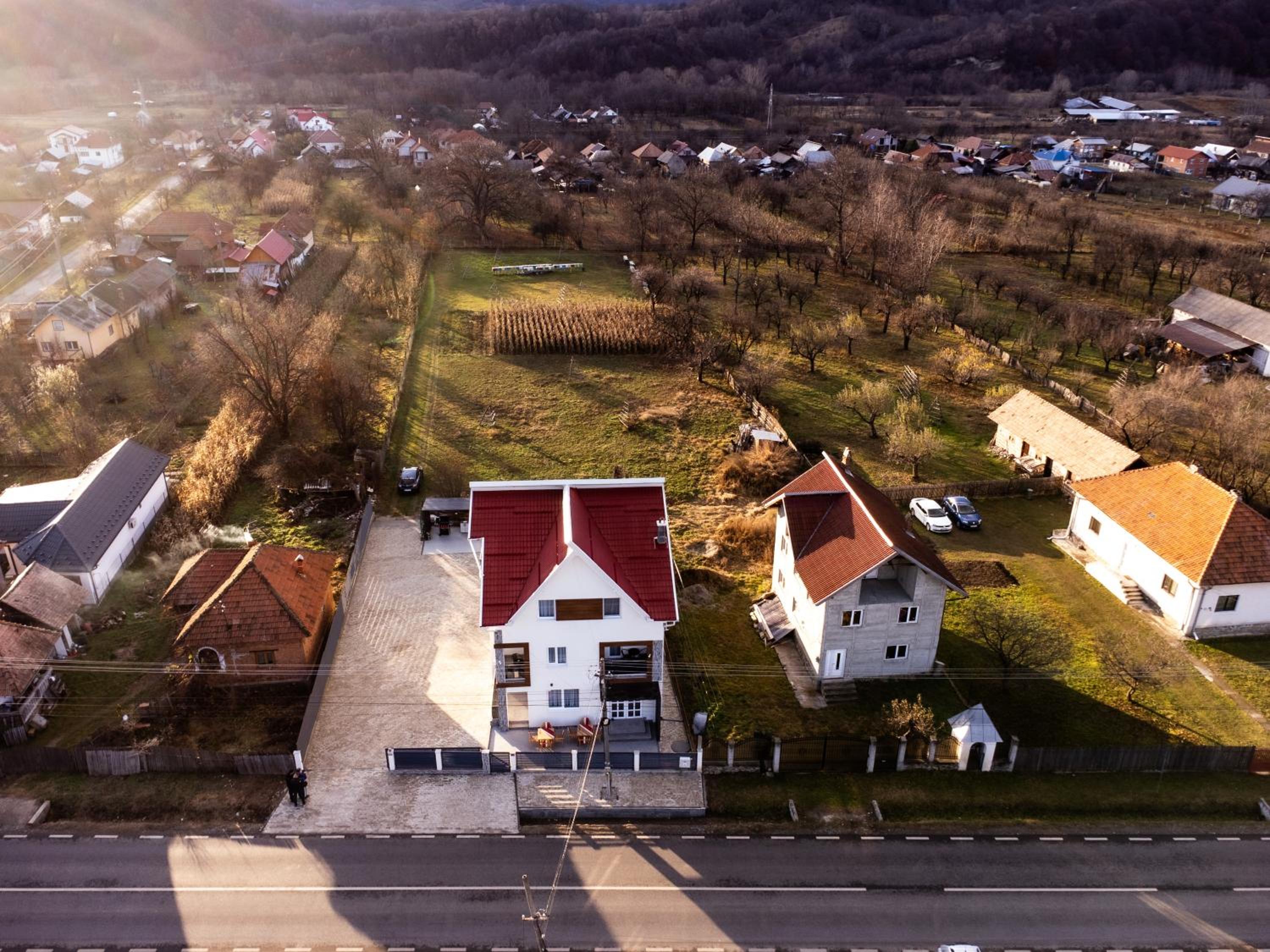 Pensiunea Nicolescu Spa view 3