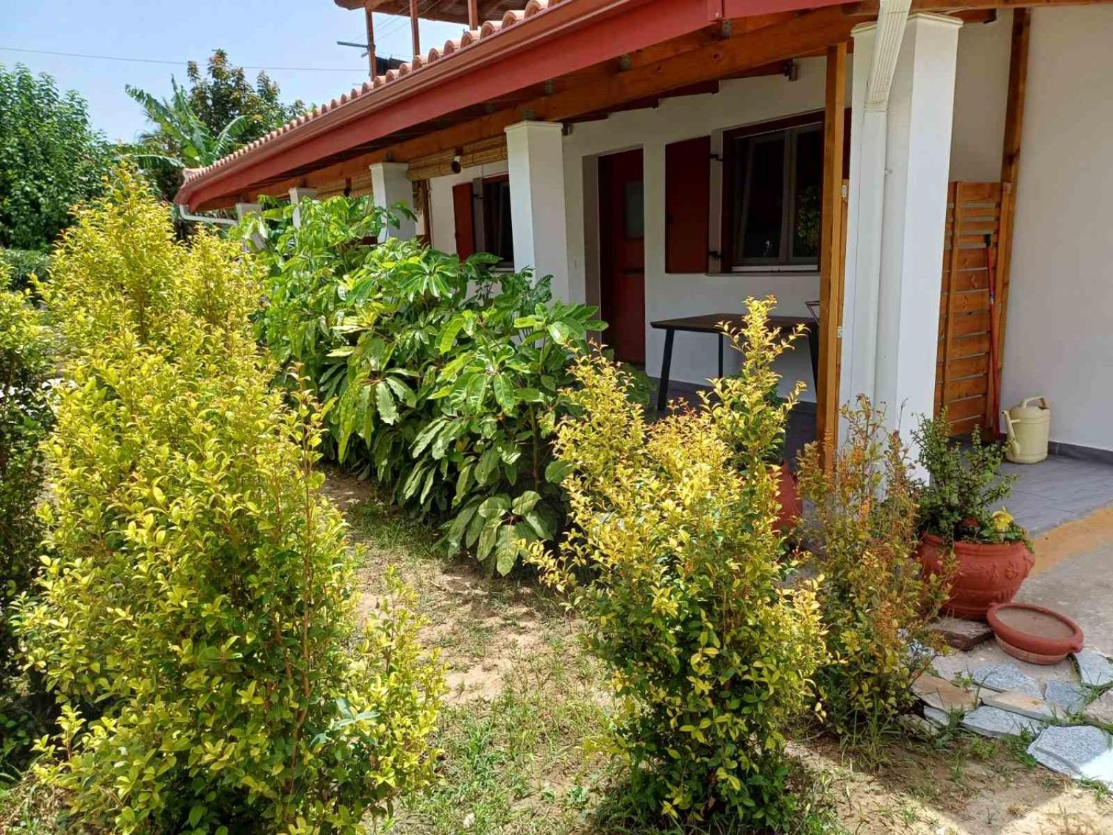 Aggelikis house photo 4