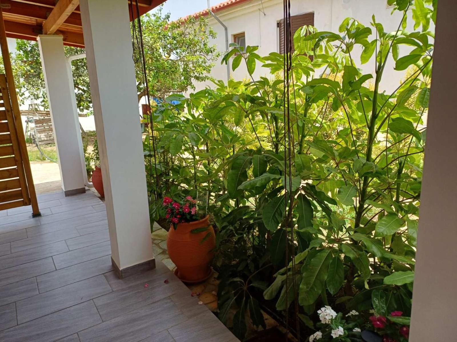 Aggelikis house photo 5