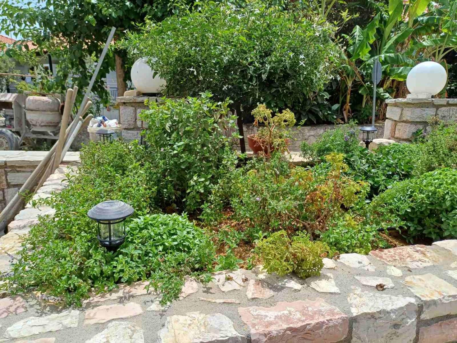 Aggelikis house