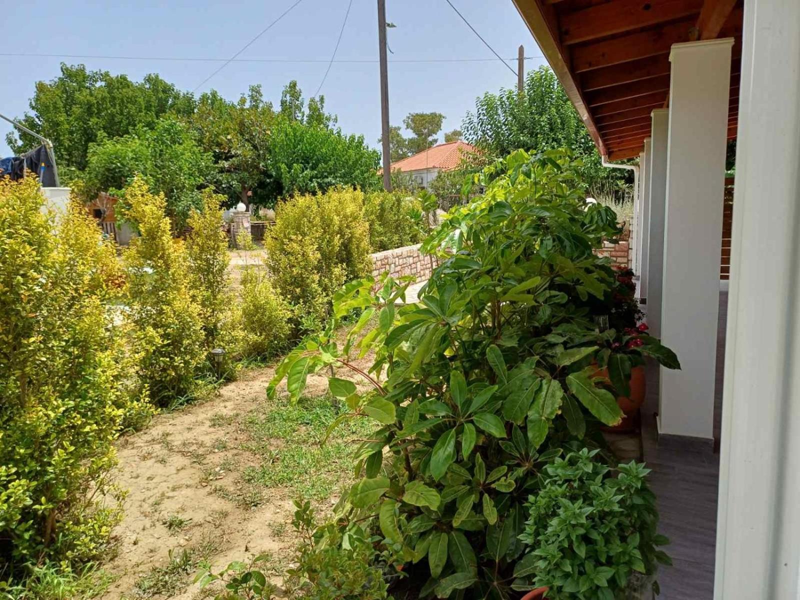 Aggelikis house
