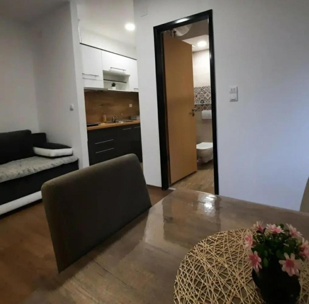 Studio Djukić Sokobanja view 4