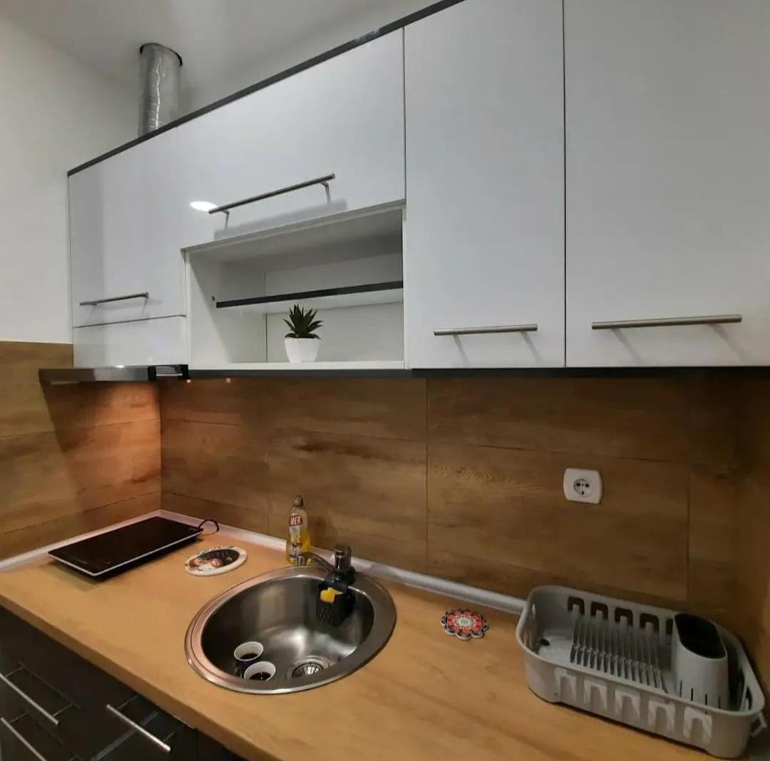 Studio Djukić Sokobanja view 2
