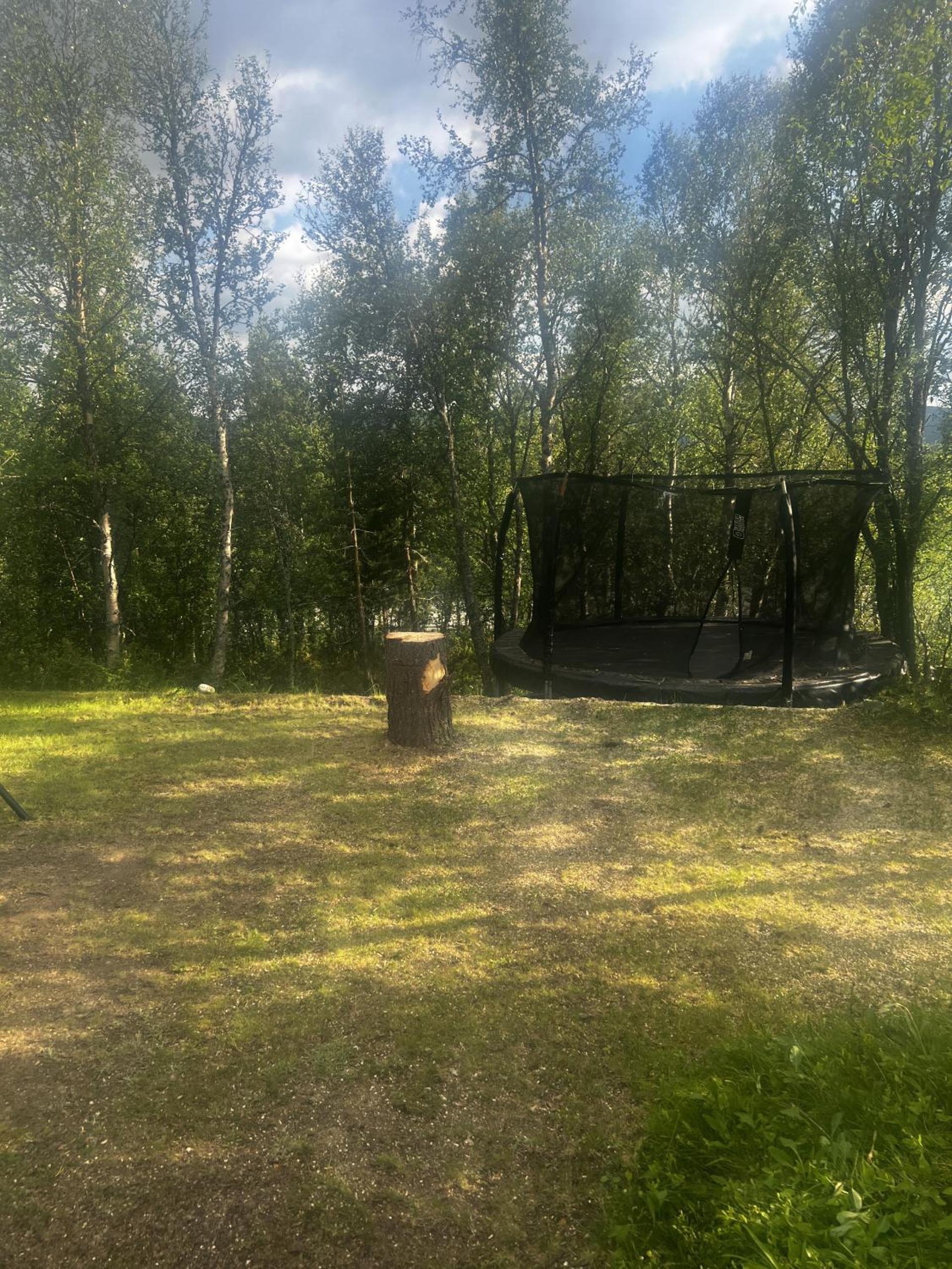 Photo 21
