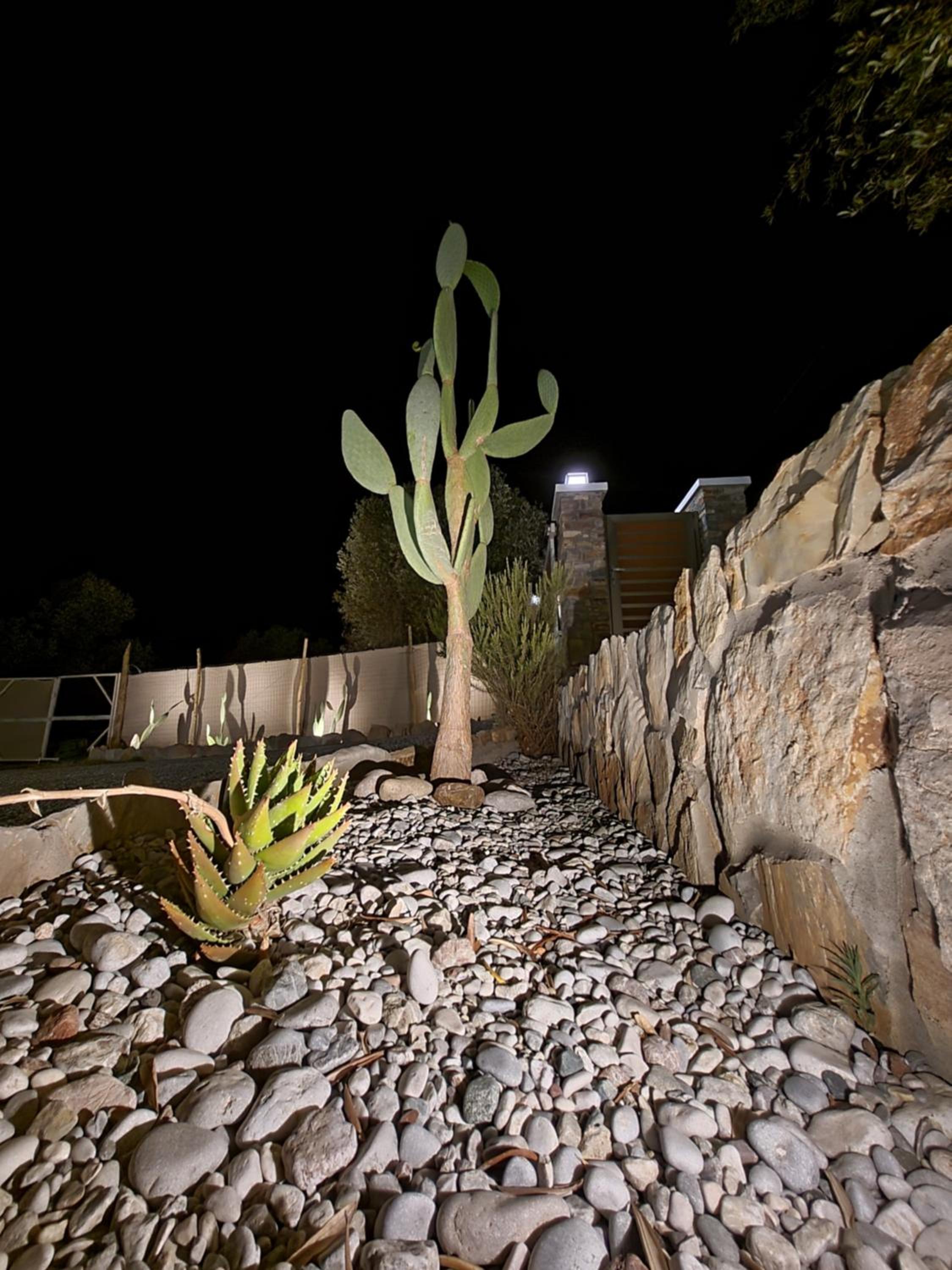 Olive Treasure Villa