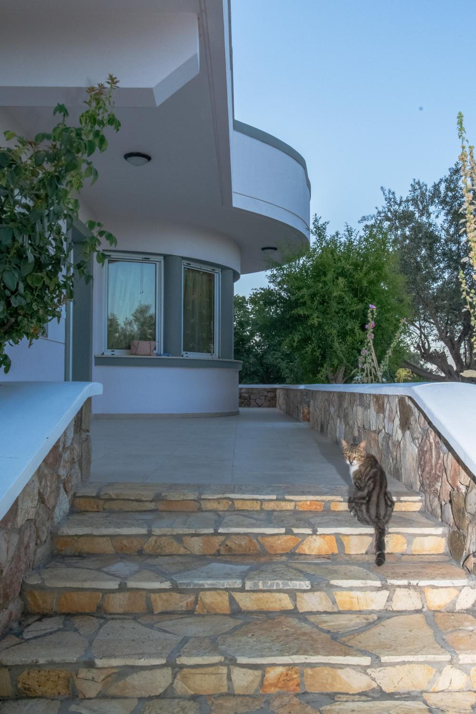 Olive Treasure Villa