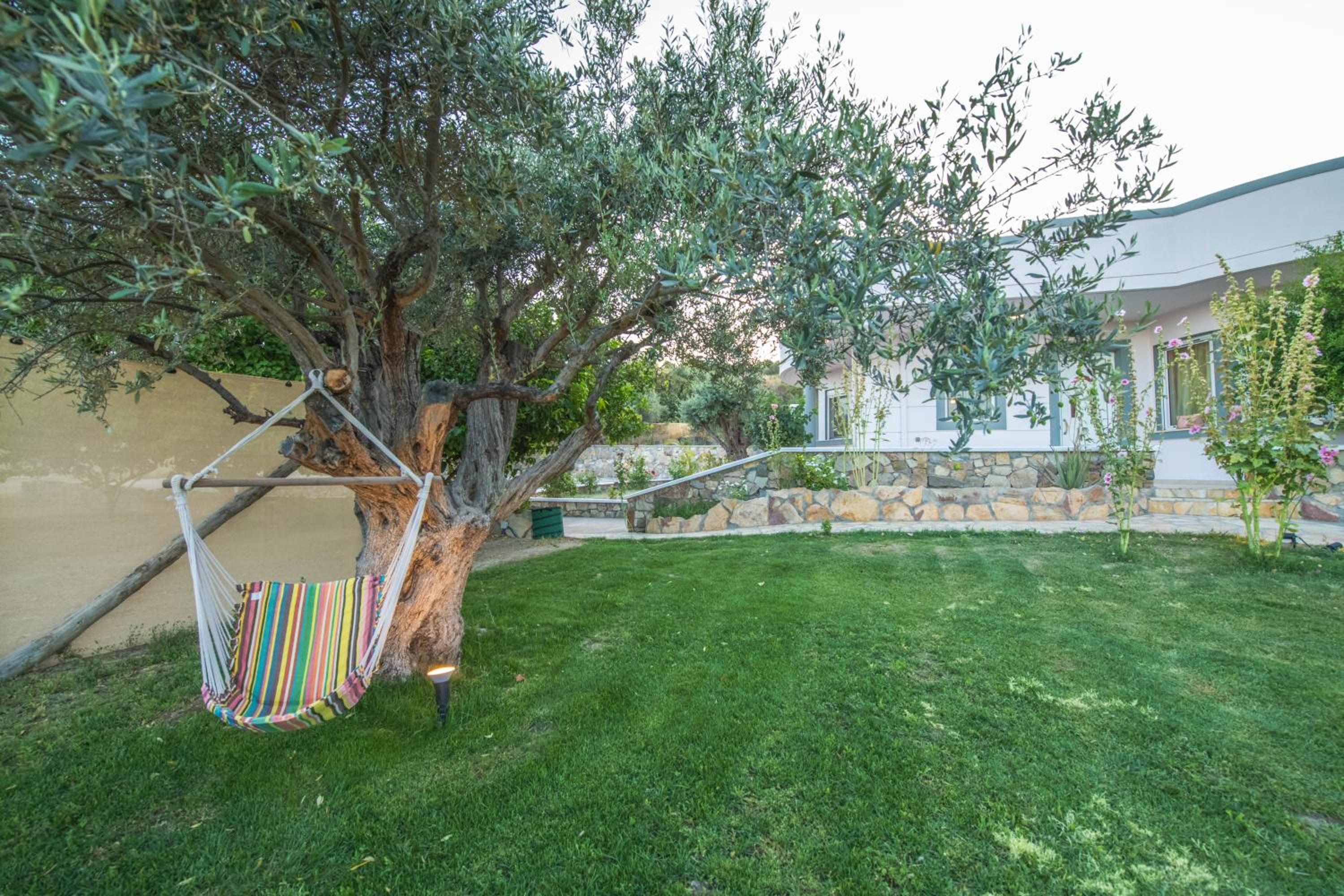 Olive Treasure Villa