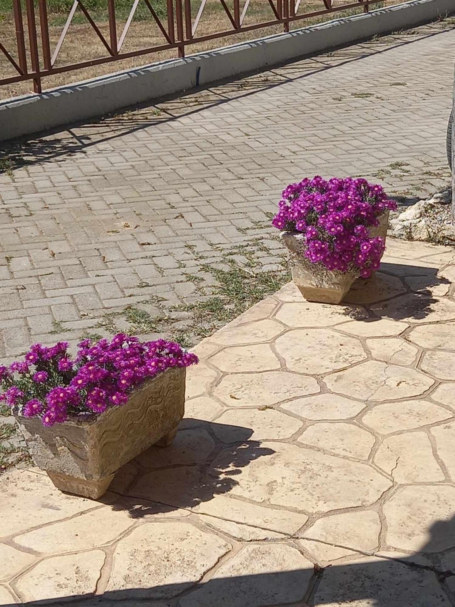 Photo 47