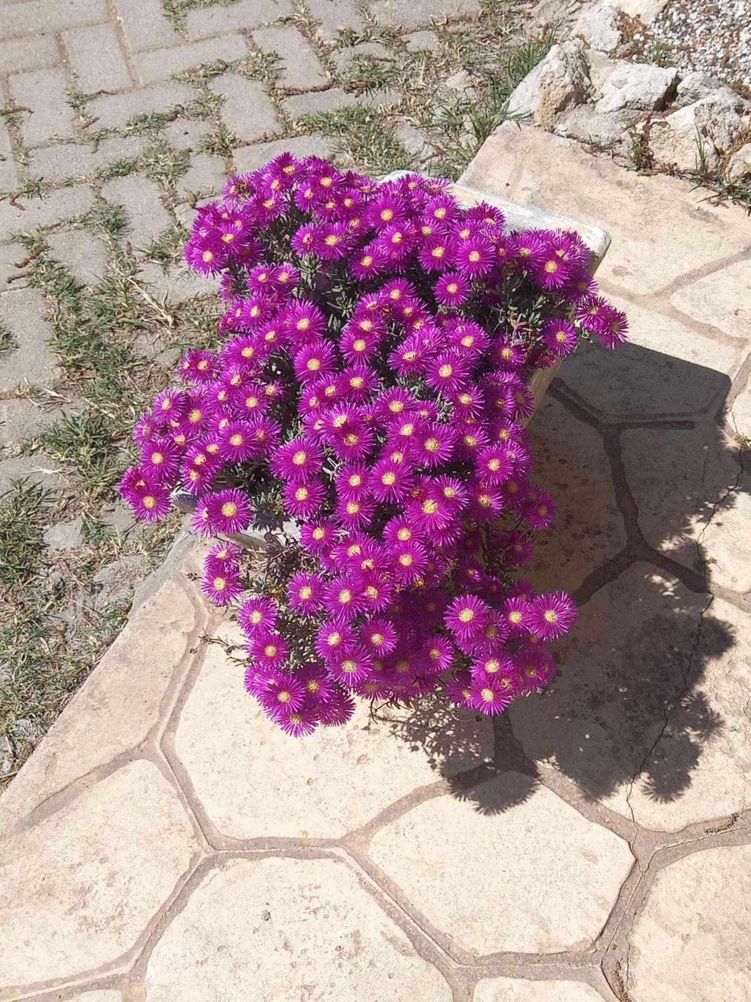 Photo 53