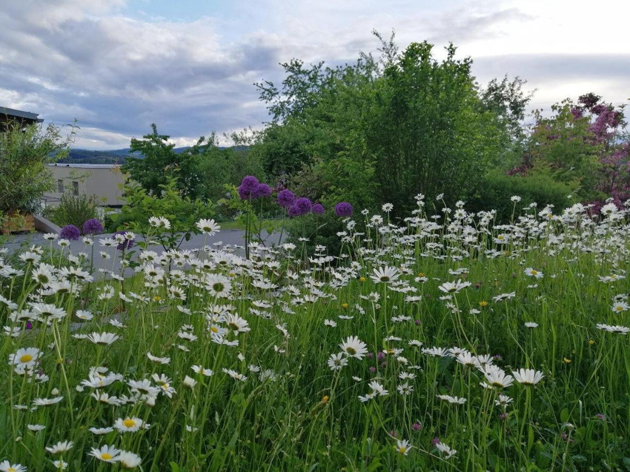 Gut Pecketsberg