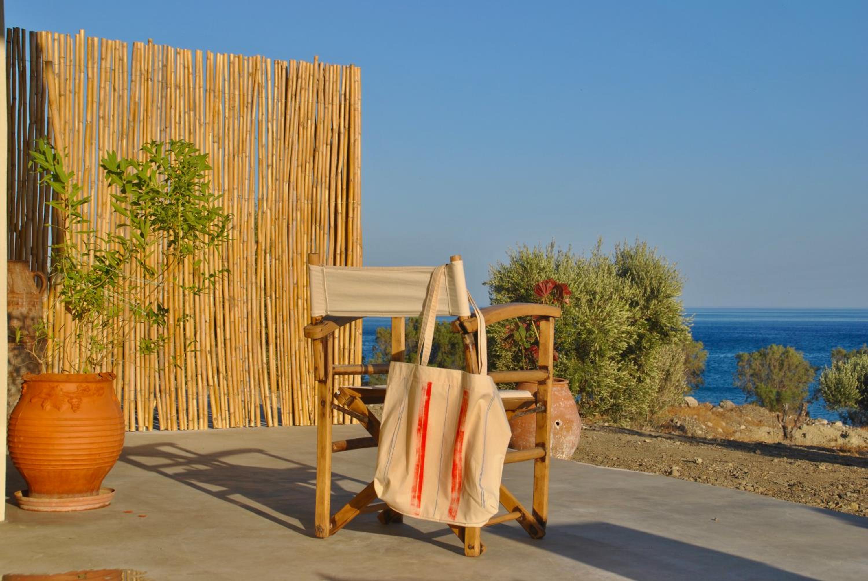 Terra Skouros photo 2