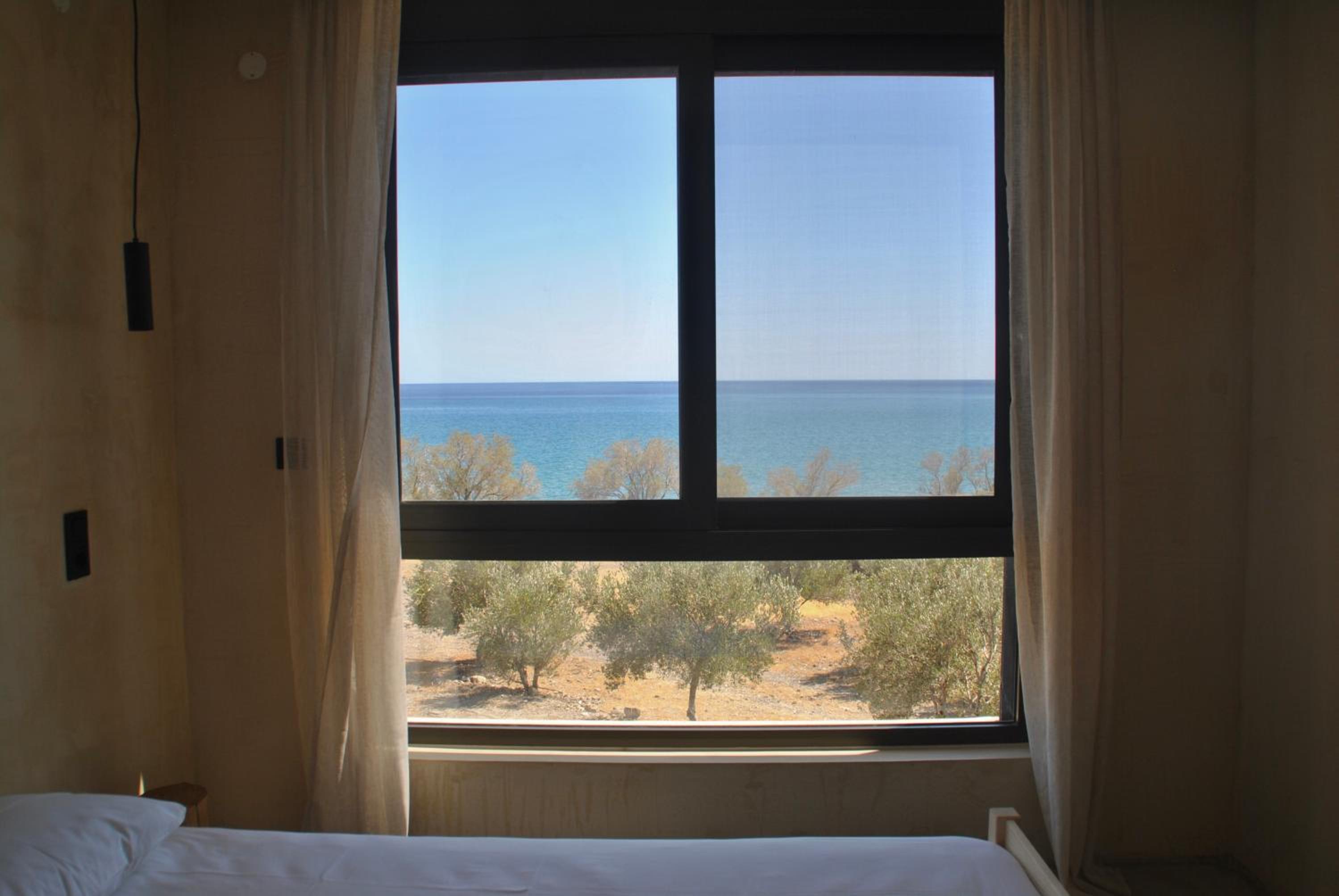 Terra Skouros