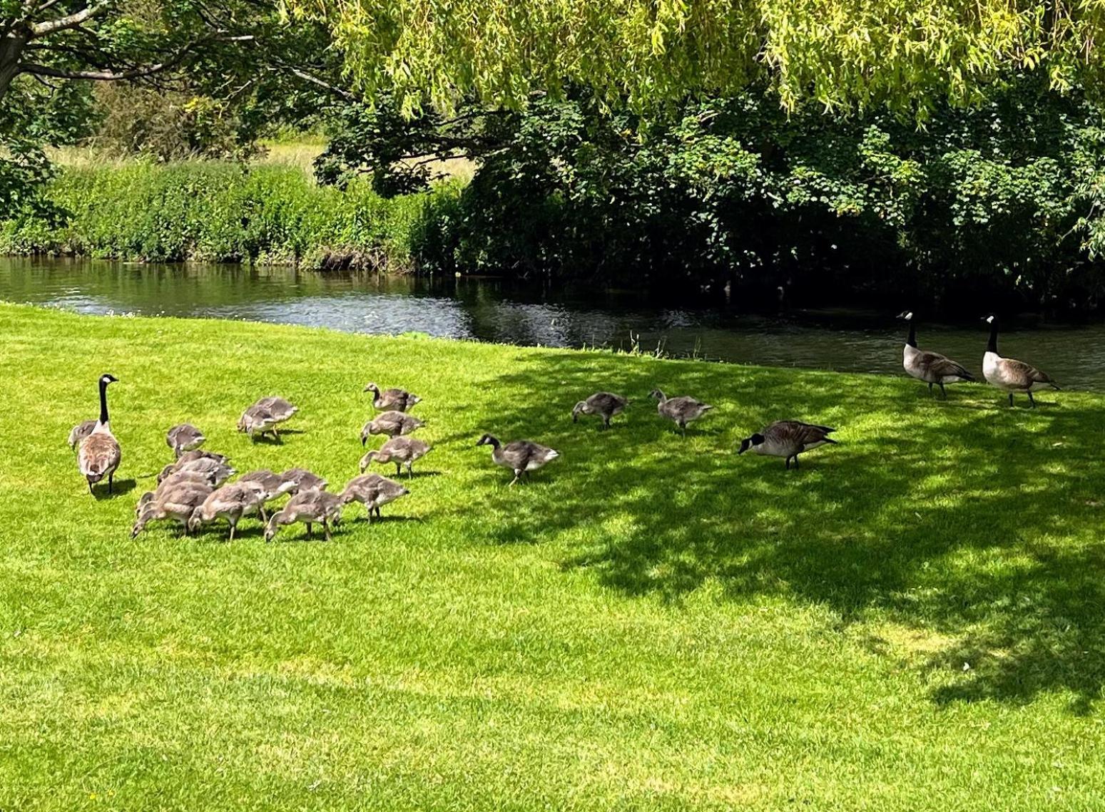 Riverbank Lodge