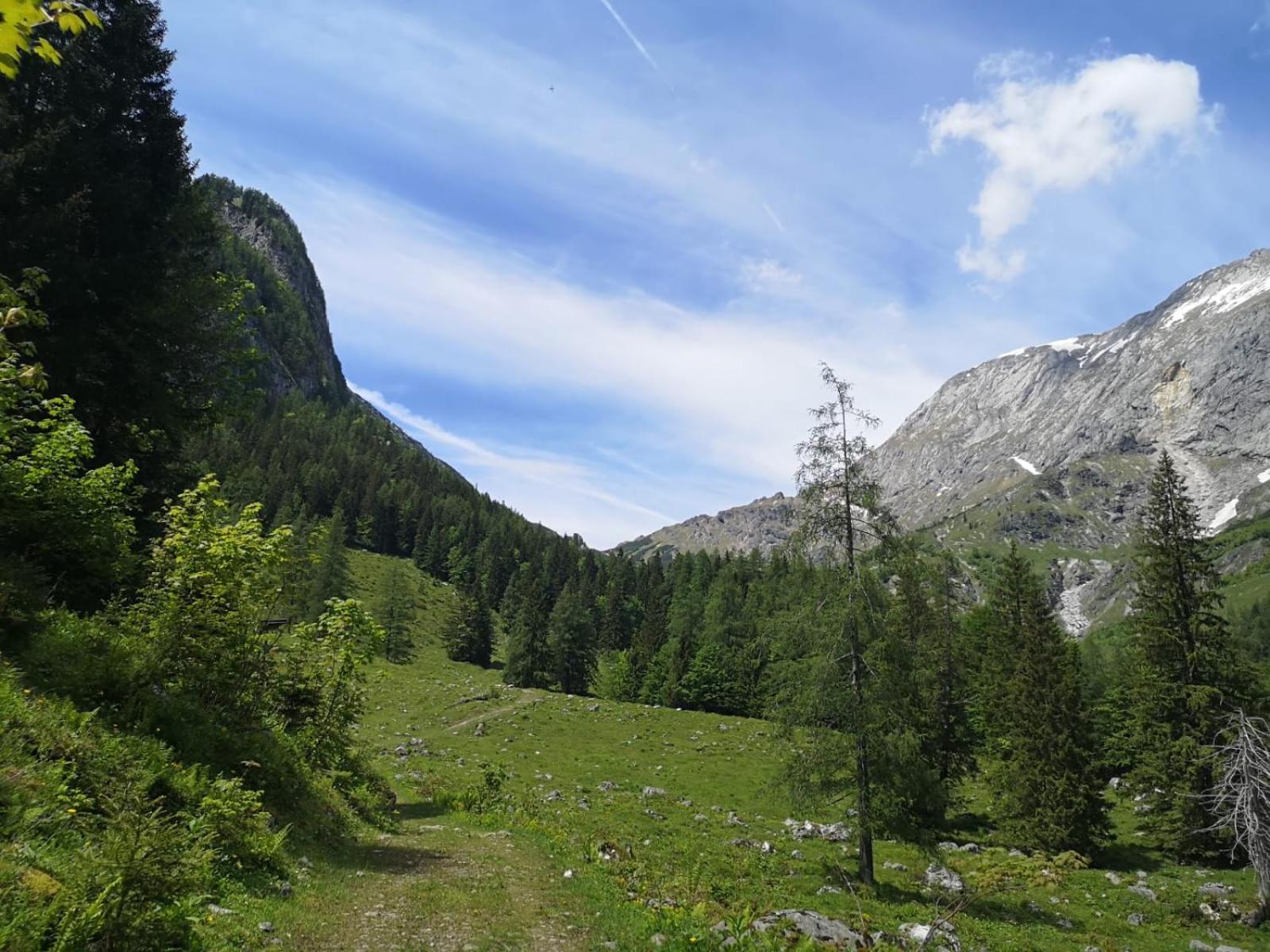 Appartement Mountainrelax Gastein