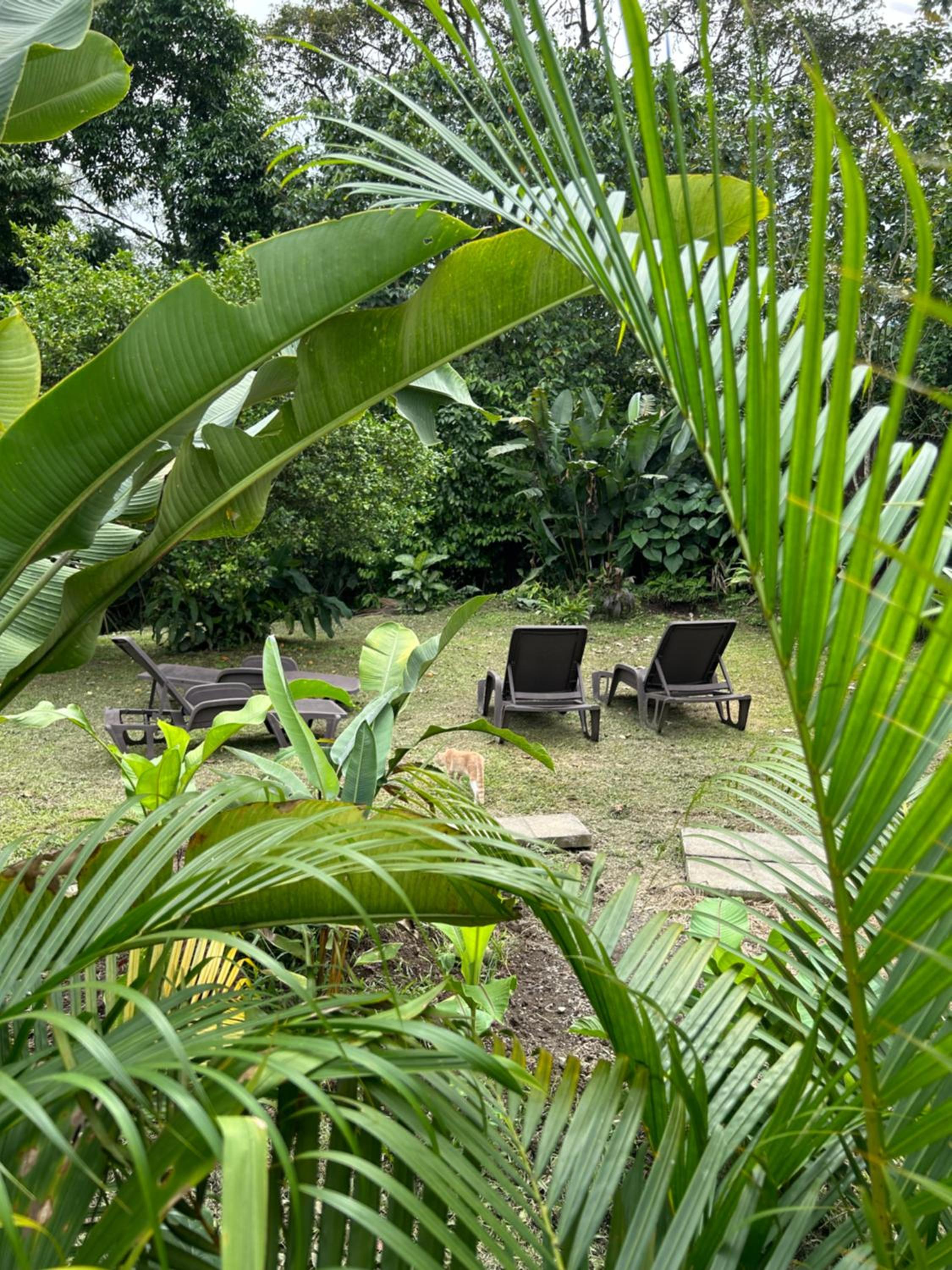 IkI Volcán Arenal #2