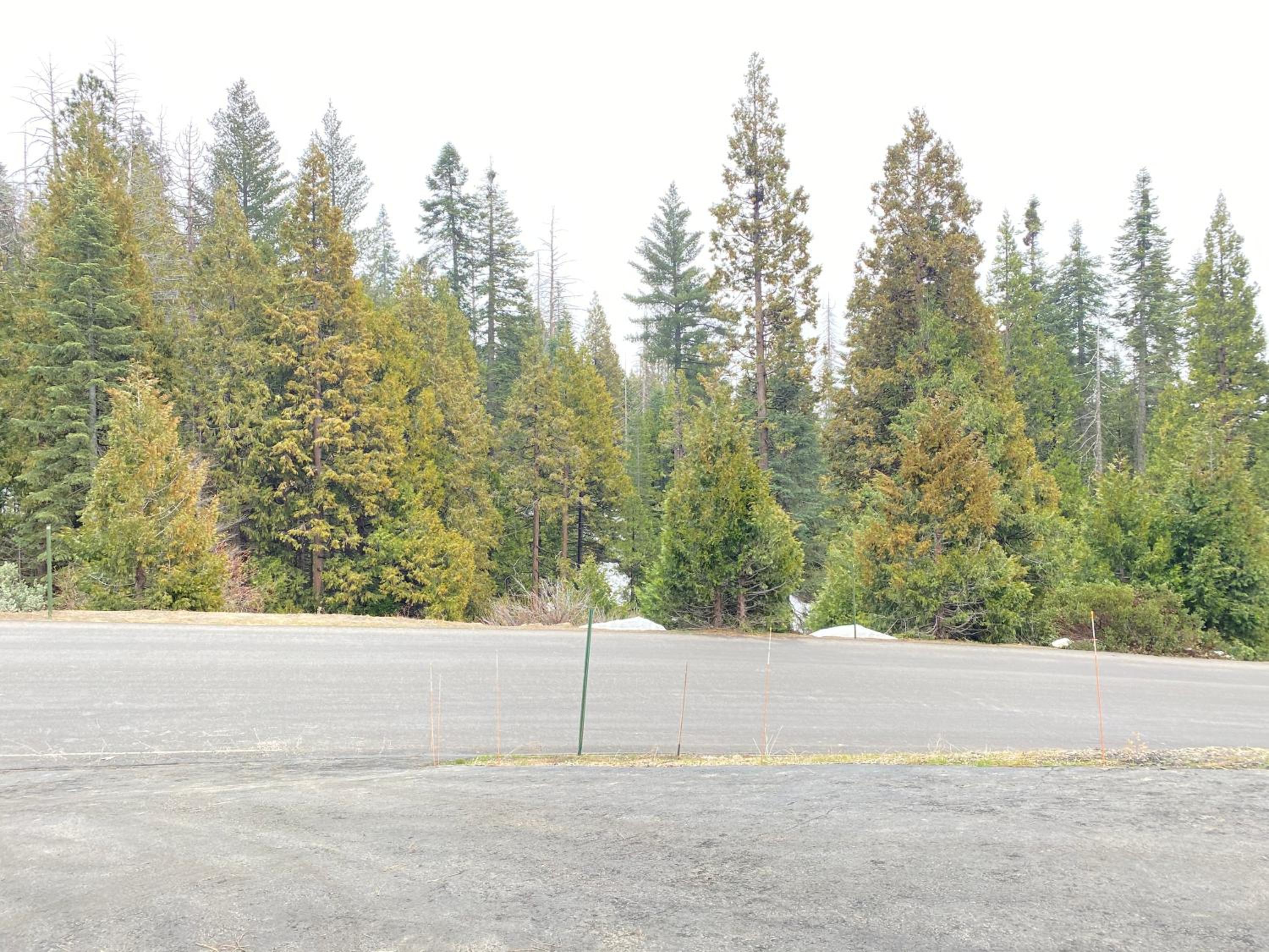 Shaver Lake Hideaway