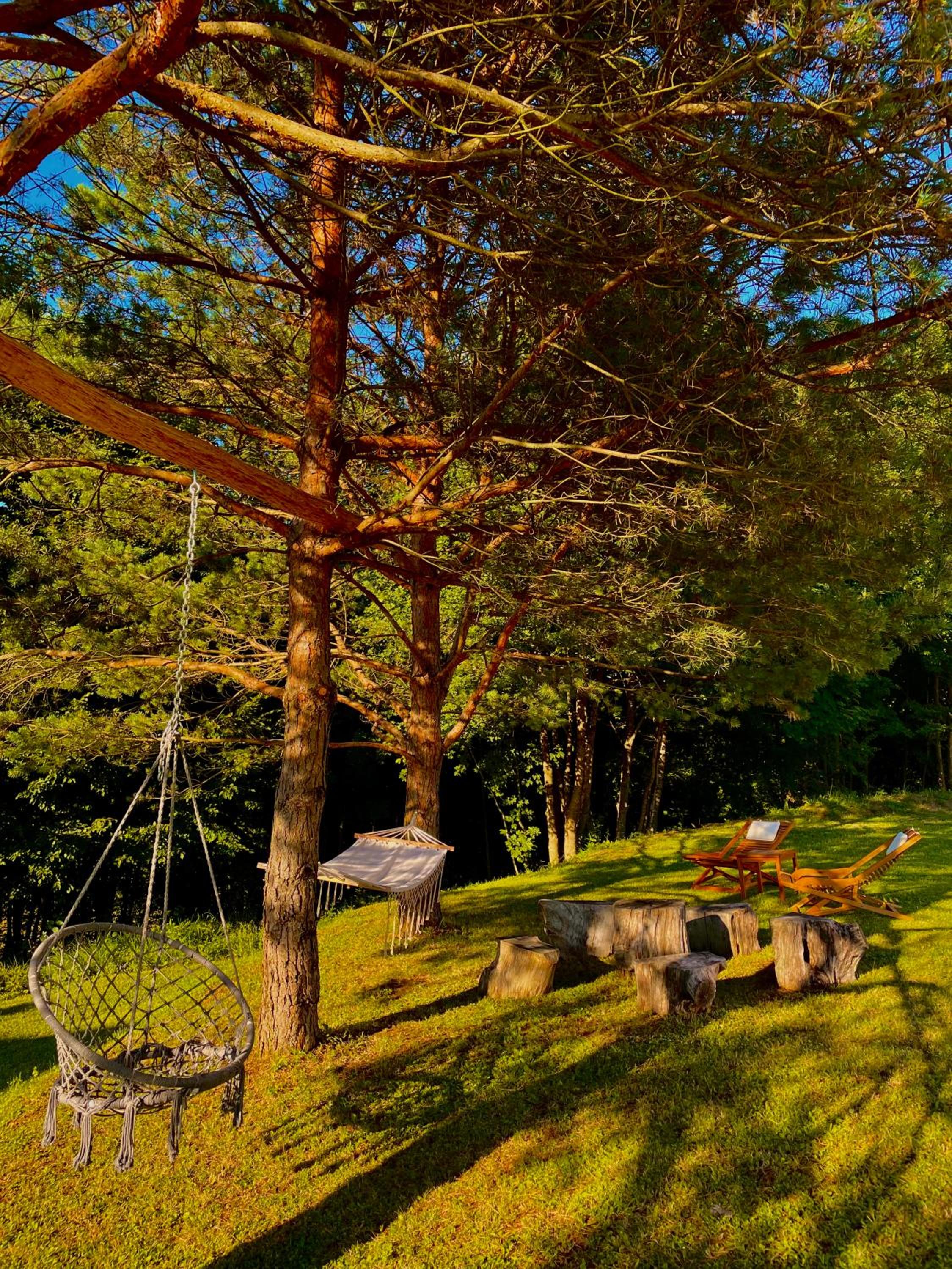 Green Oasis view 2