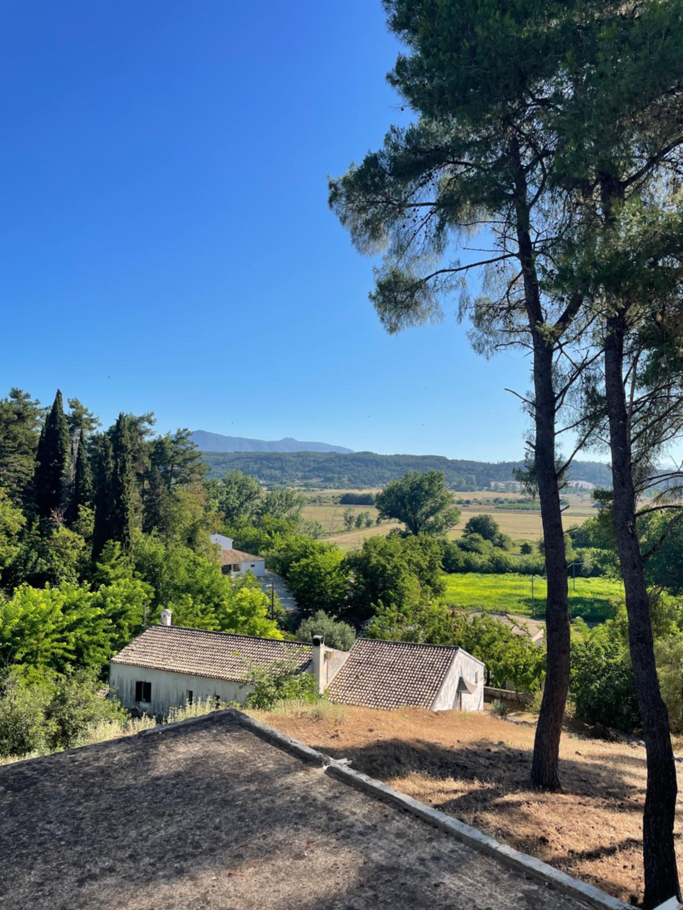 Charming Villa for nature lovers in Theotoky Estate Vineyard and olive mill view 5