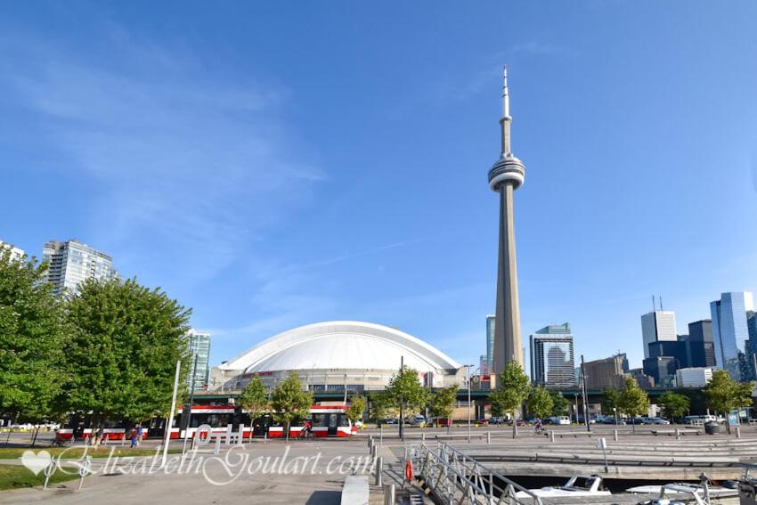 Spacious Studio in the Heart of Downtown Toronto