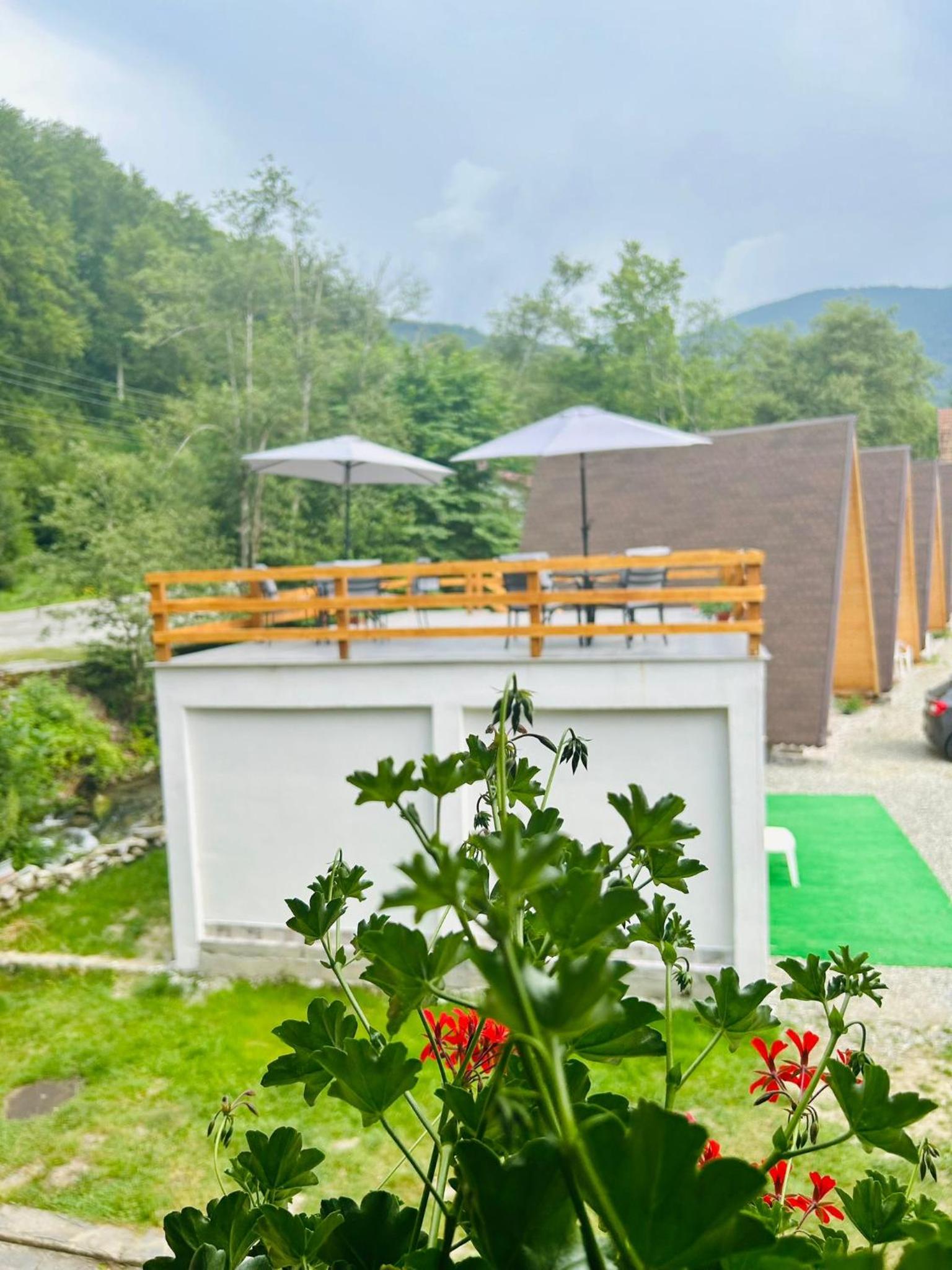 Casa Ursu view 4