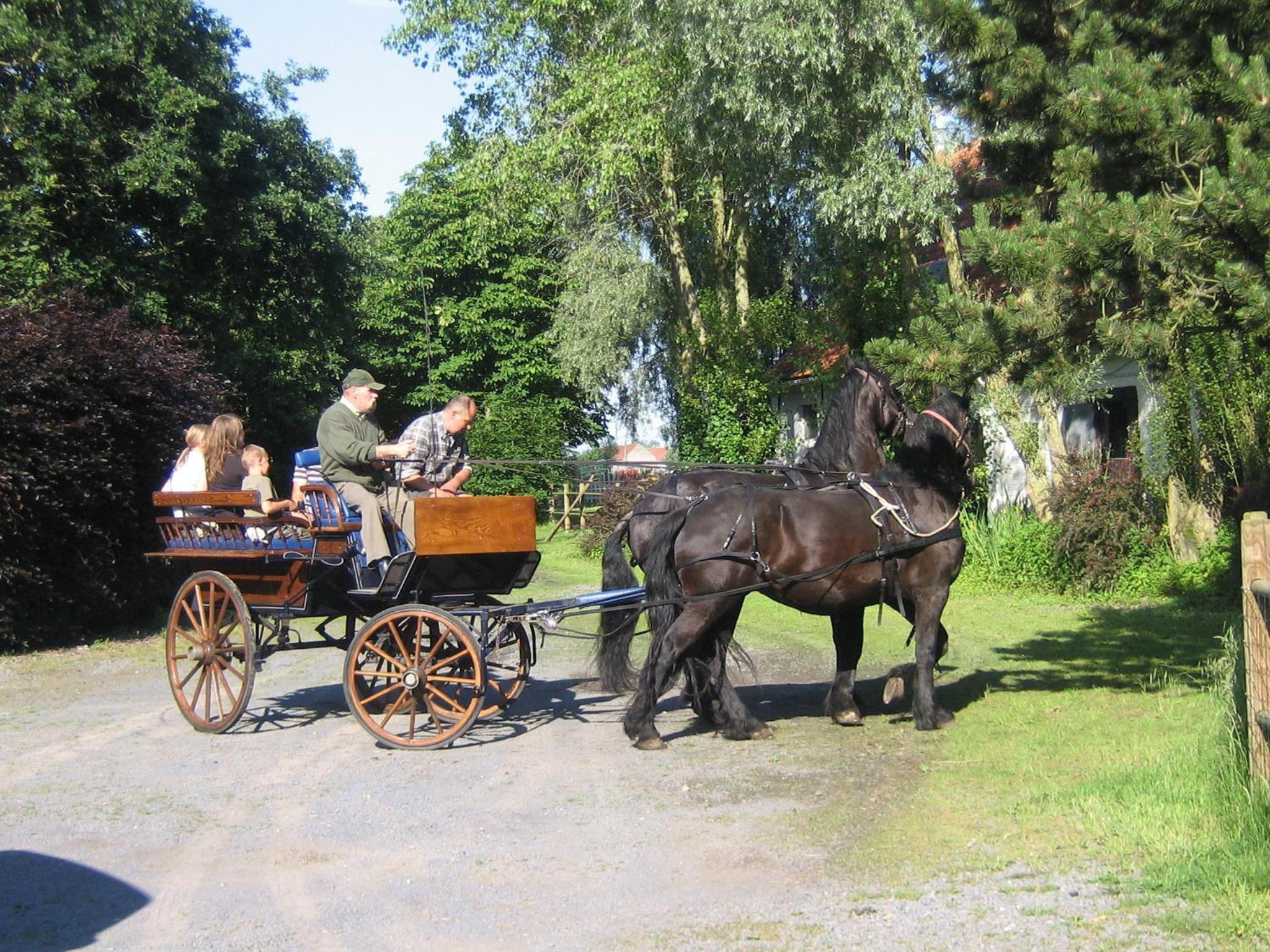 B&B Ter Castaigne