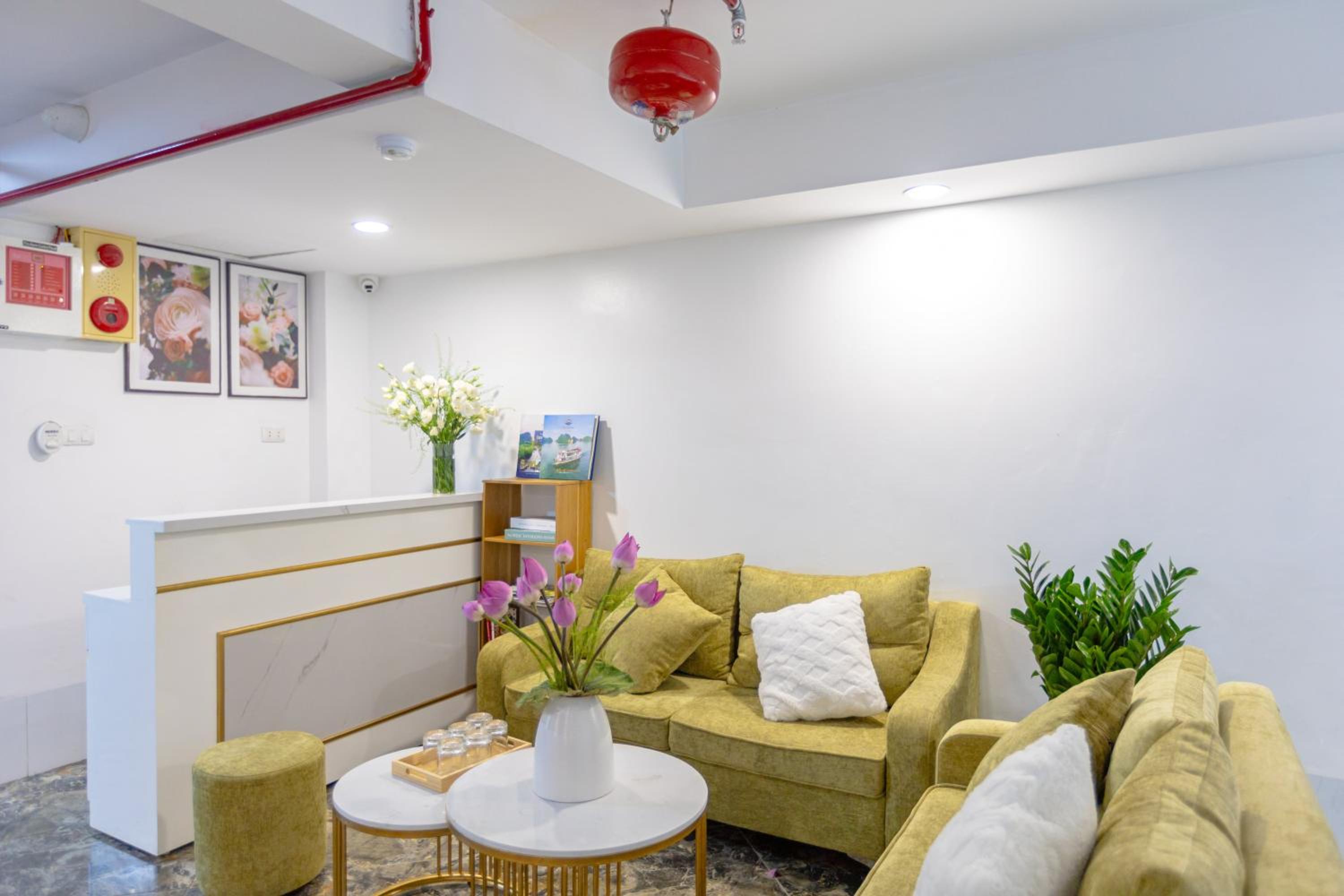 recepcion & lobby
