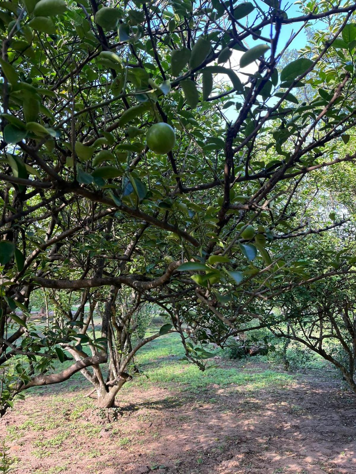 Quinta El Mirador en Peji