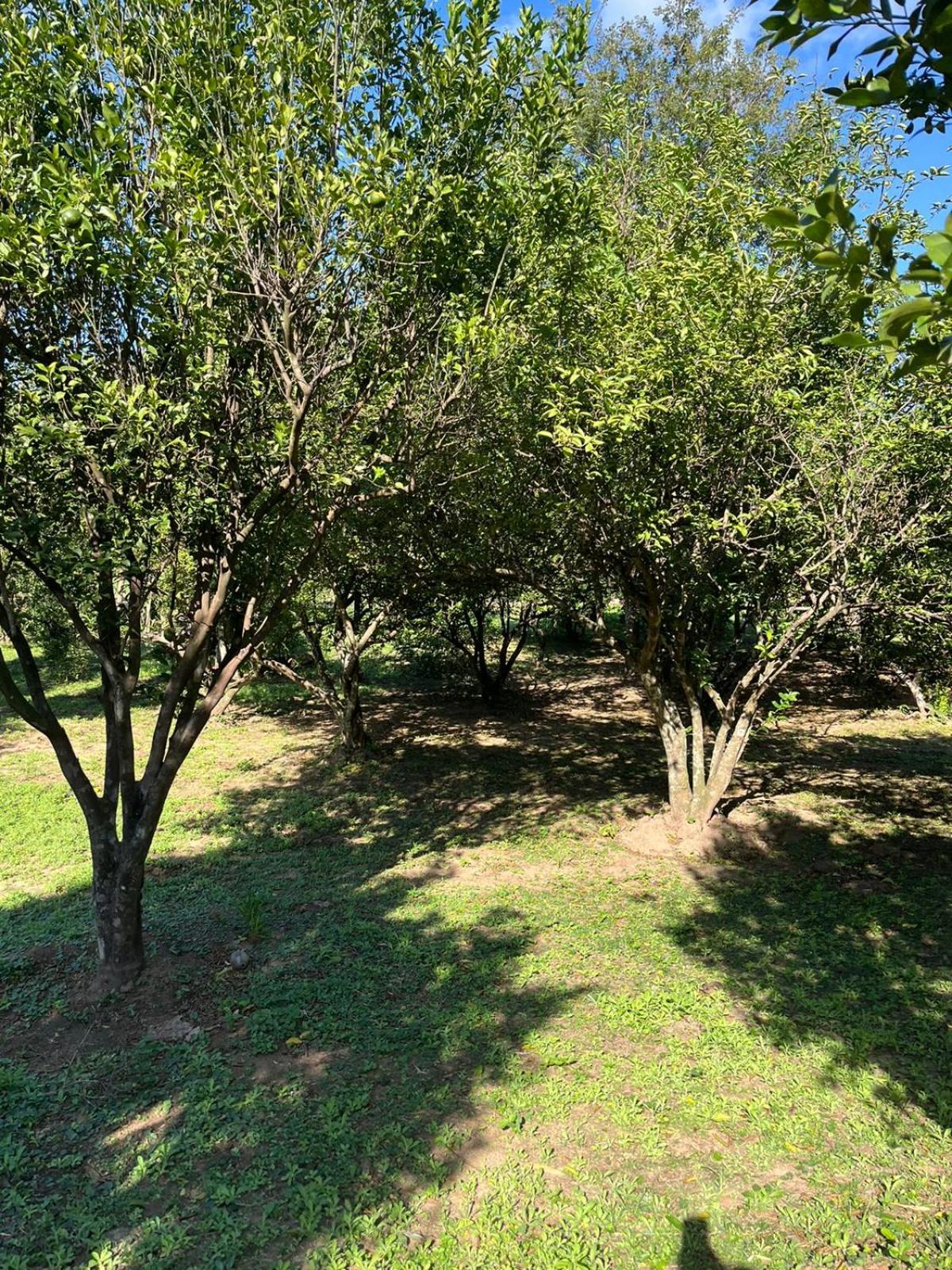 Quinta El Mirador en Peji