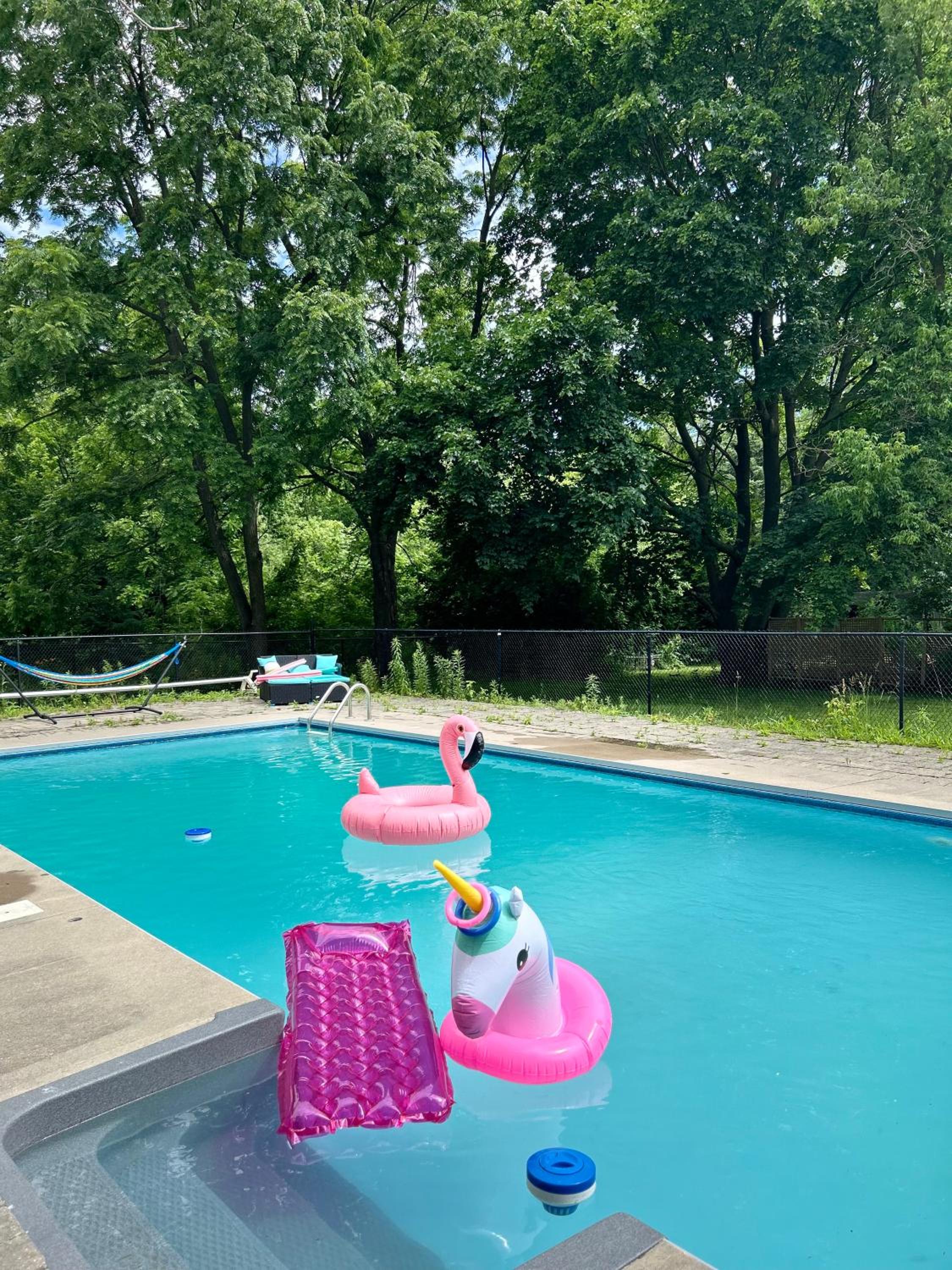 Pool Party Gorgeous Vacation spot