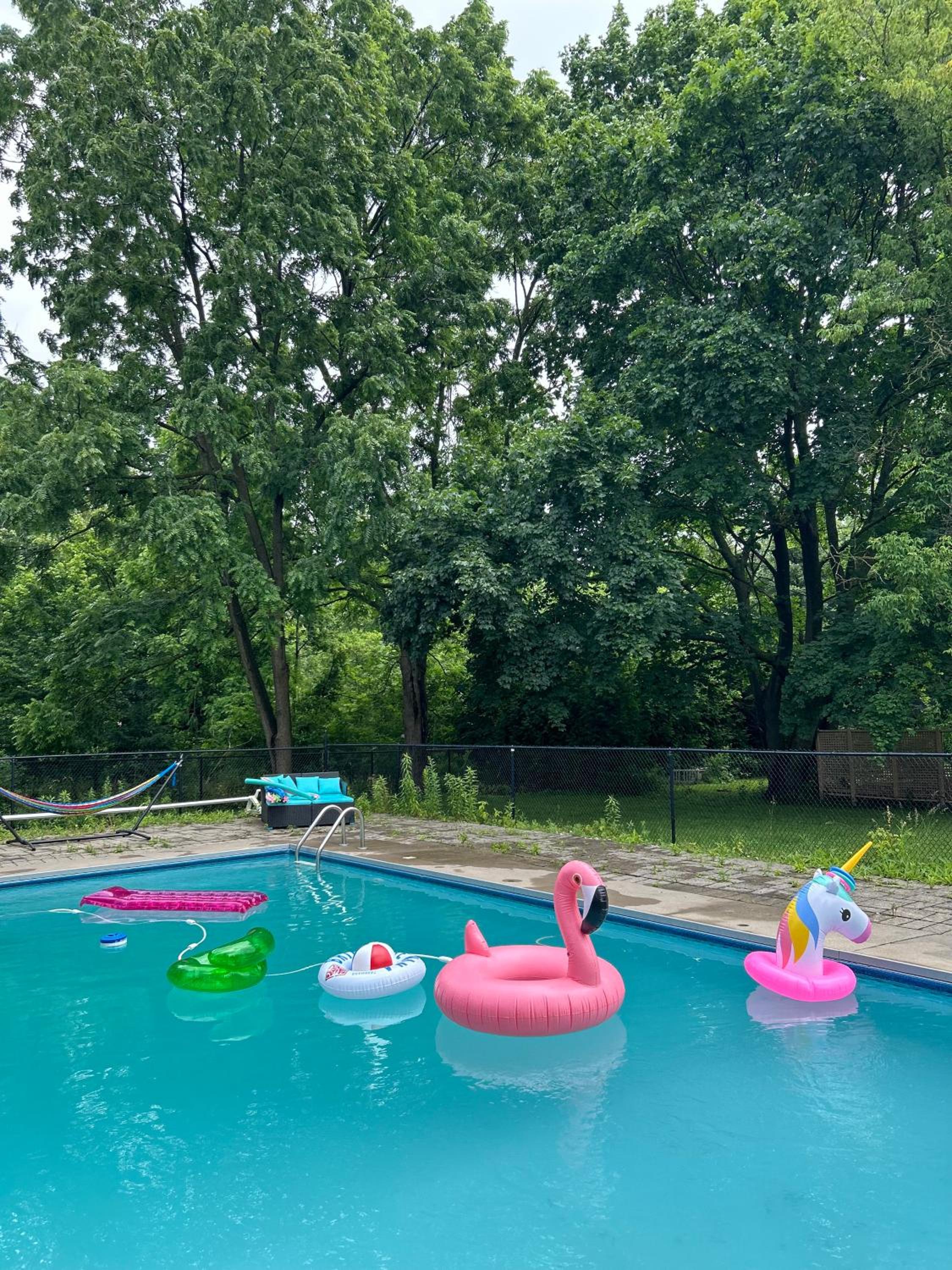 Pool Party Gorgeous Vacation spot