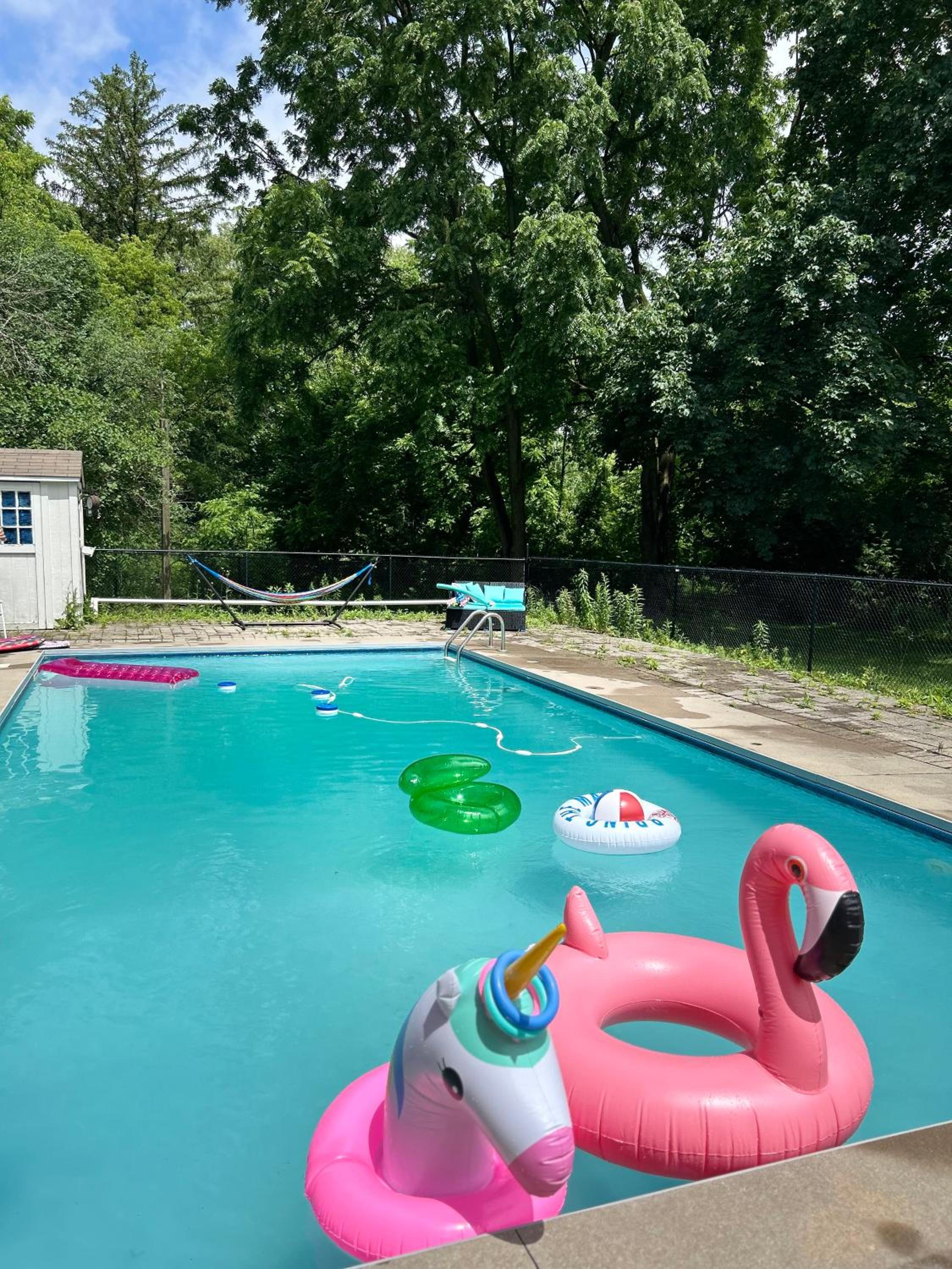 Pool Party Gorgeous Vacation spot