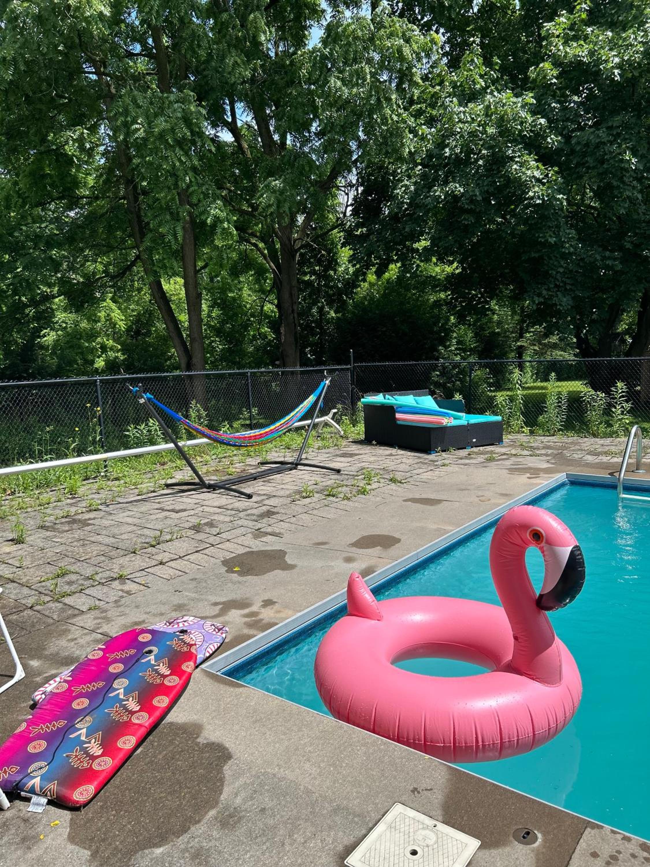 Pool Party Gorgeous Vacation spot