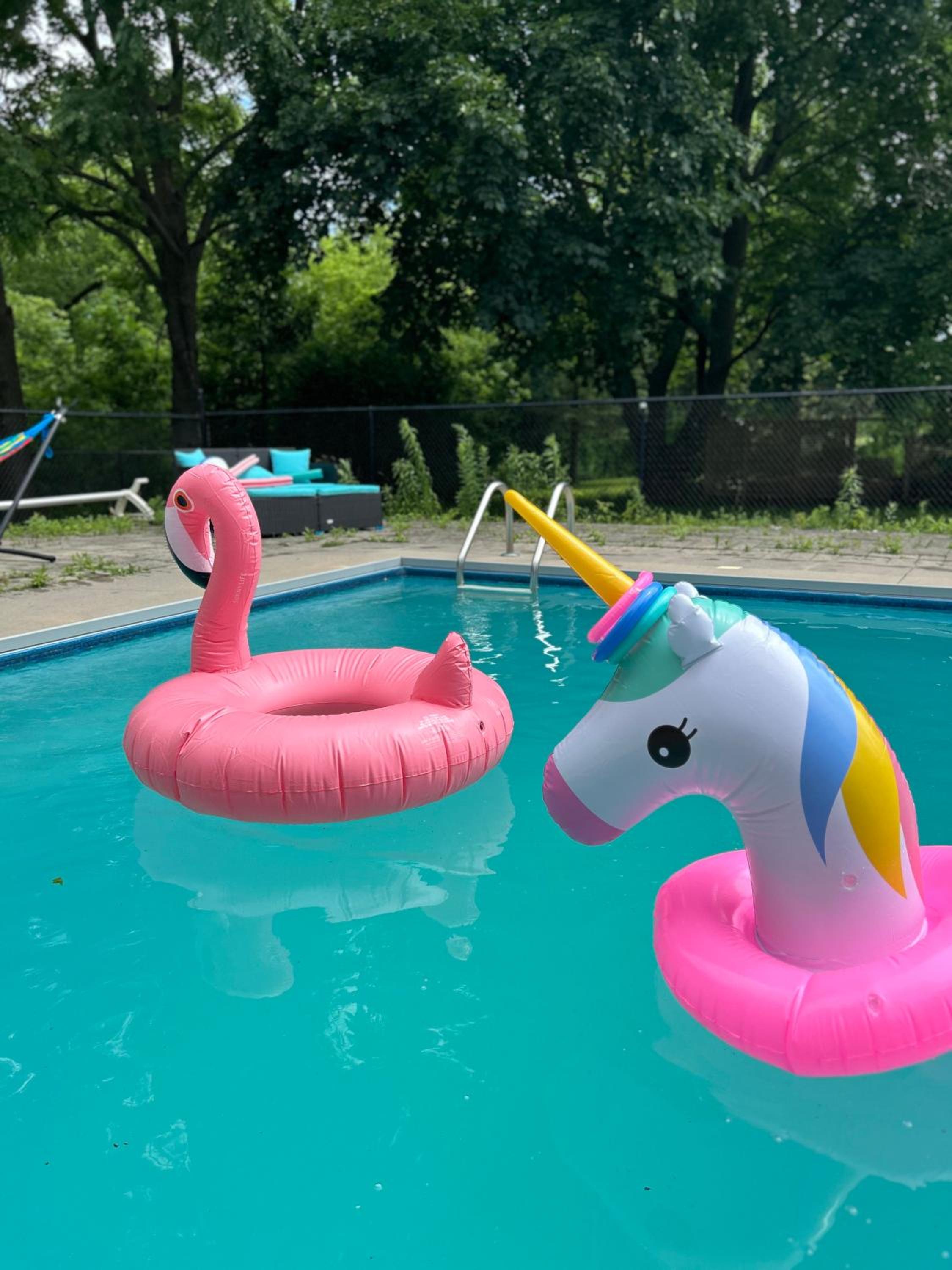 Pool Party Gorgeous Vacation spot