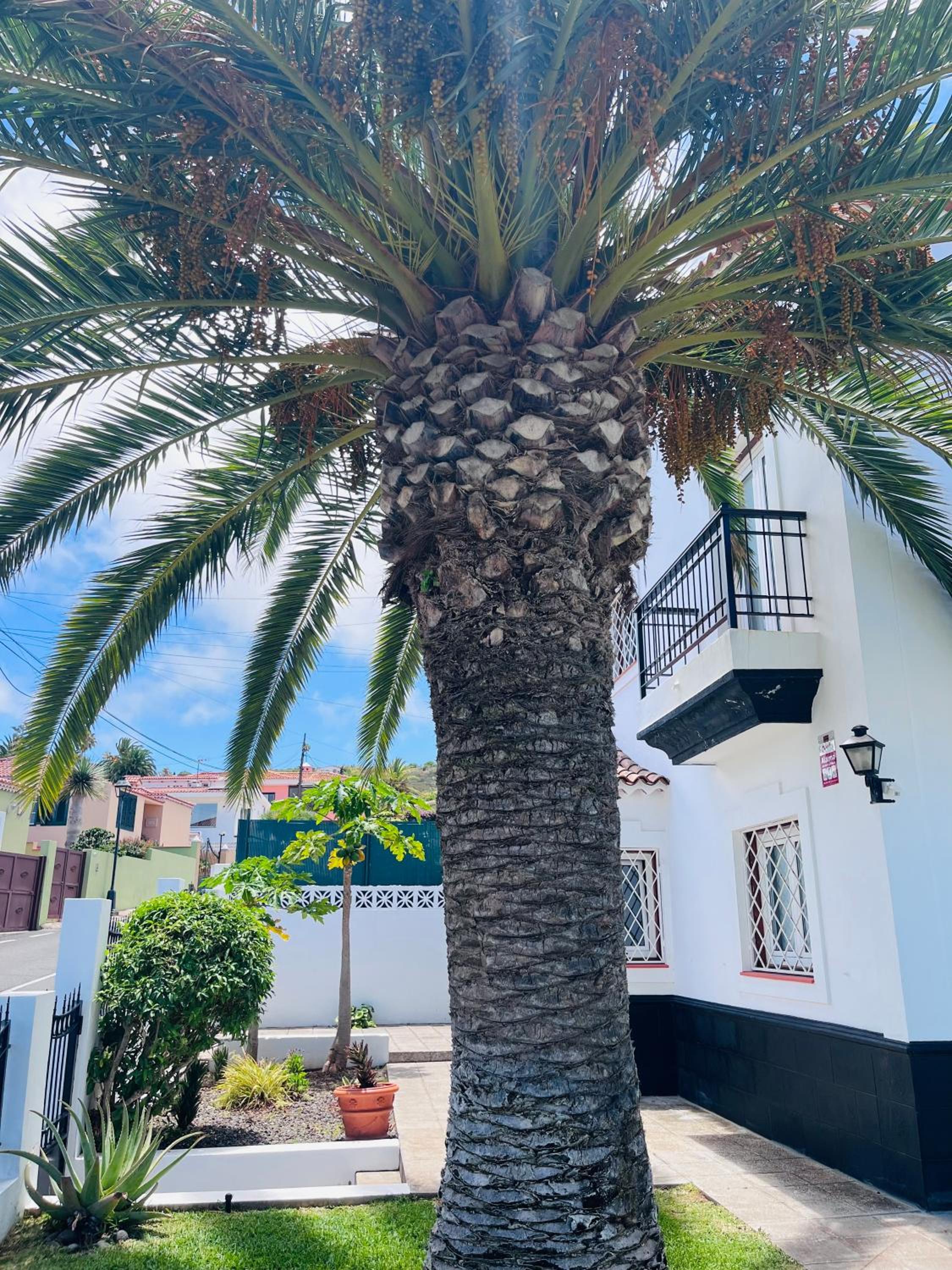 Casa Mesa del Mar Tenerife