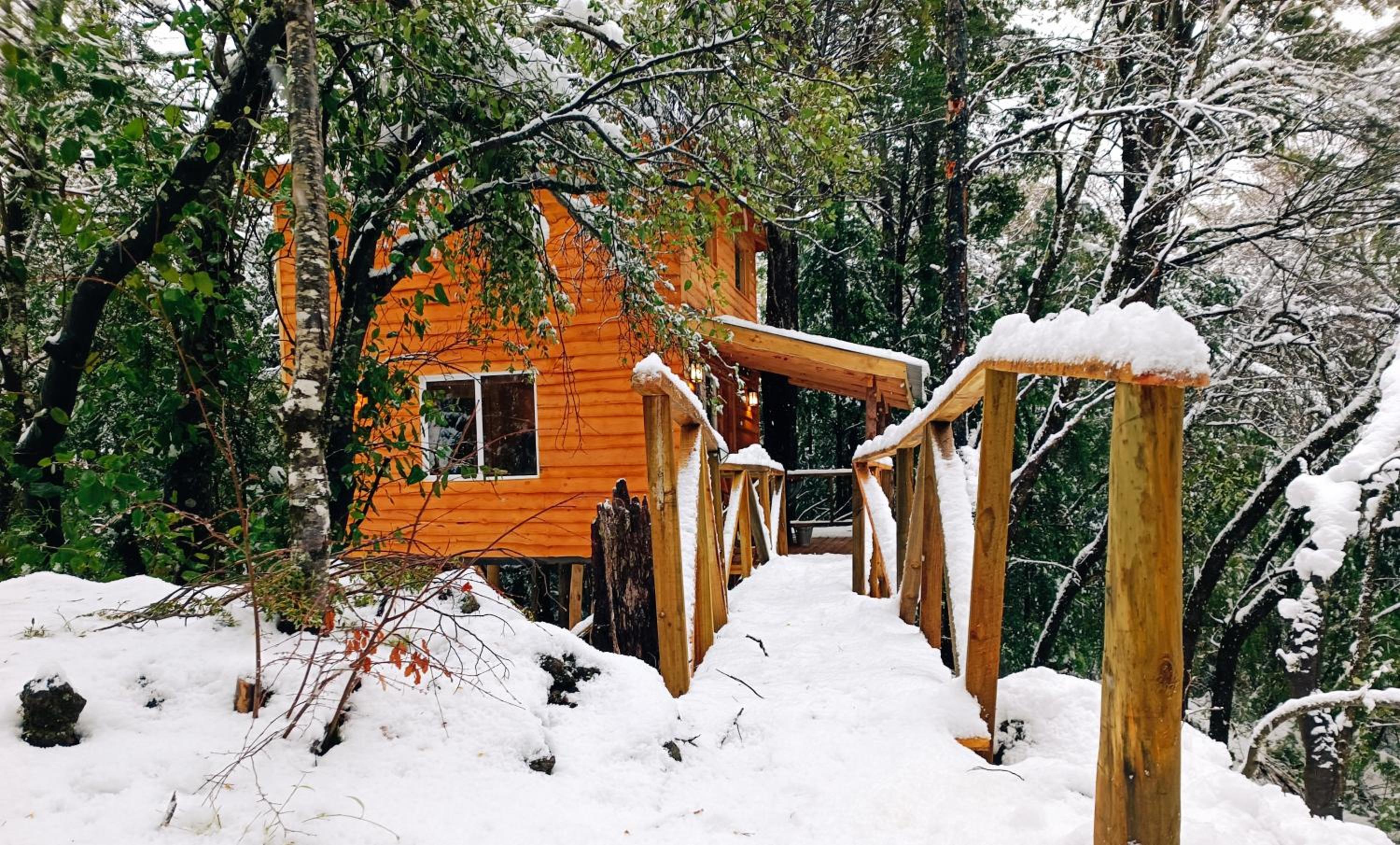 Cabañita Del Árbol Concón