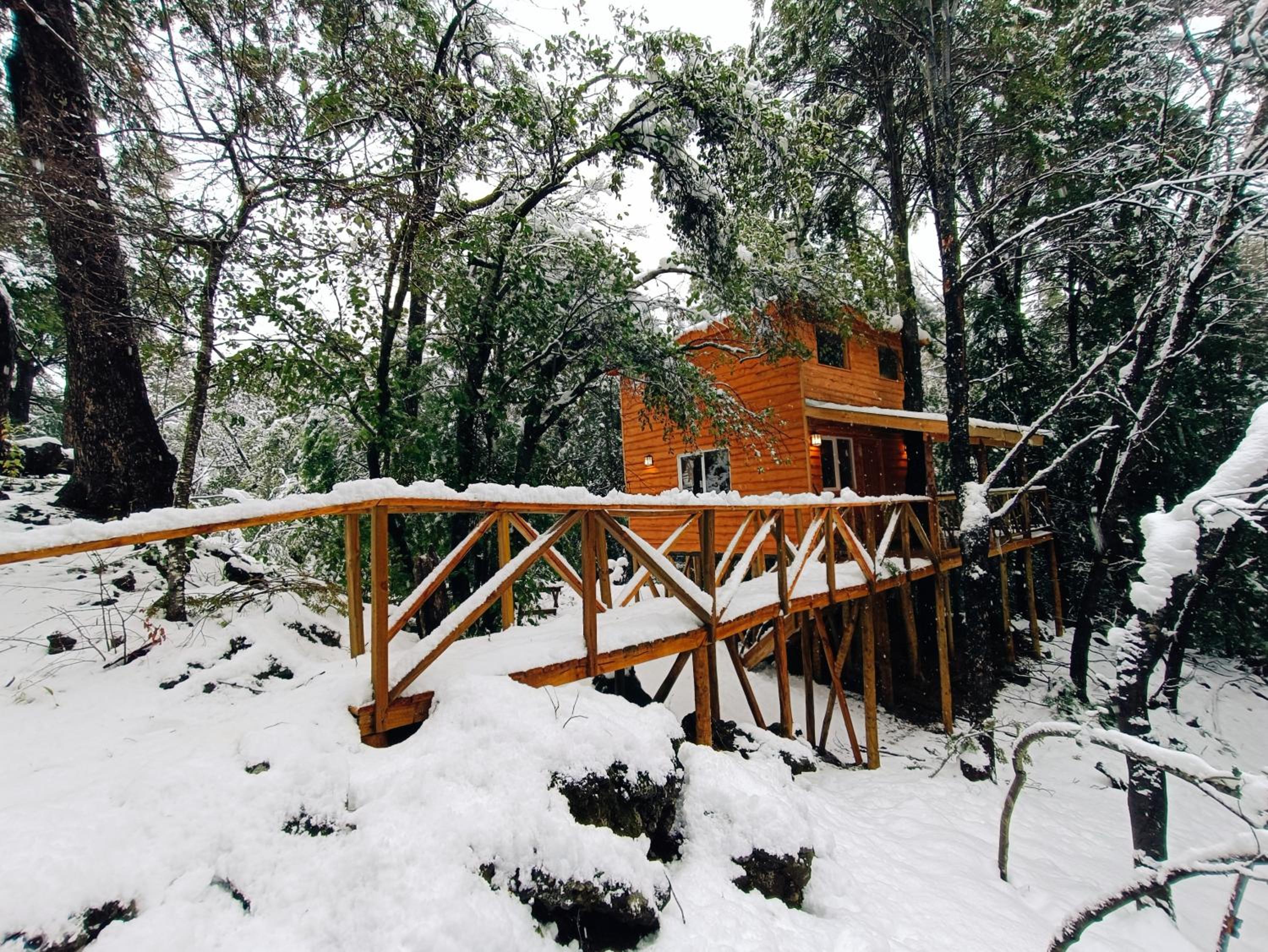 Cabañita Del Árbol Concón