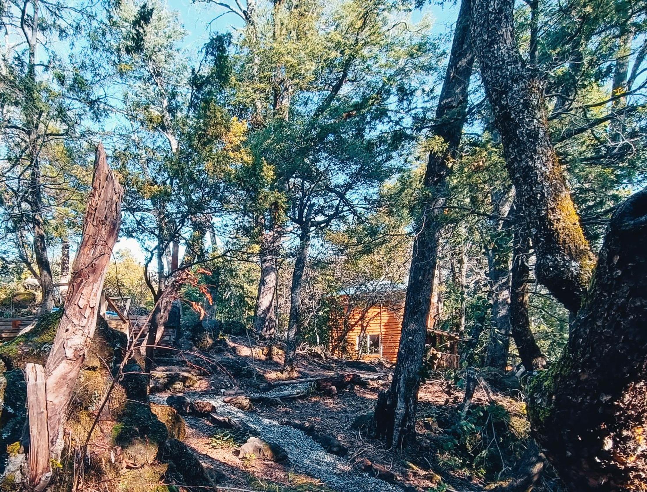 Cabañita Del Árbol Concón