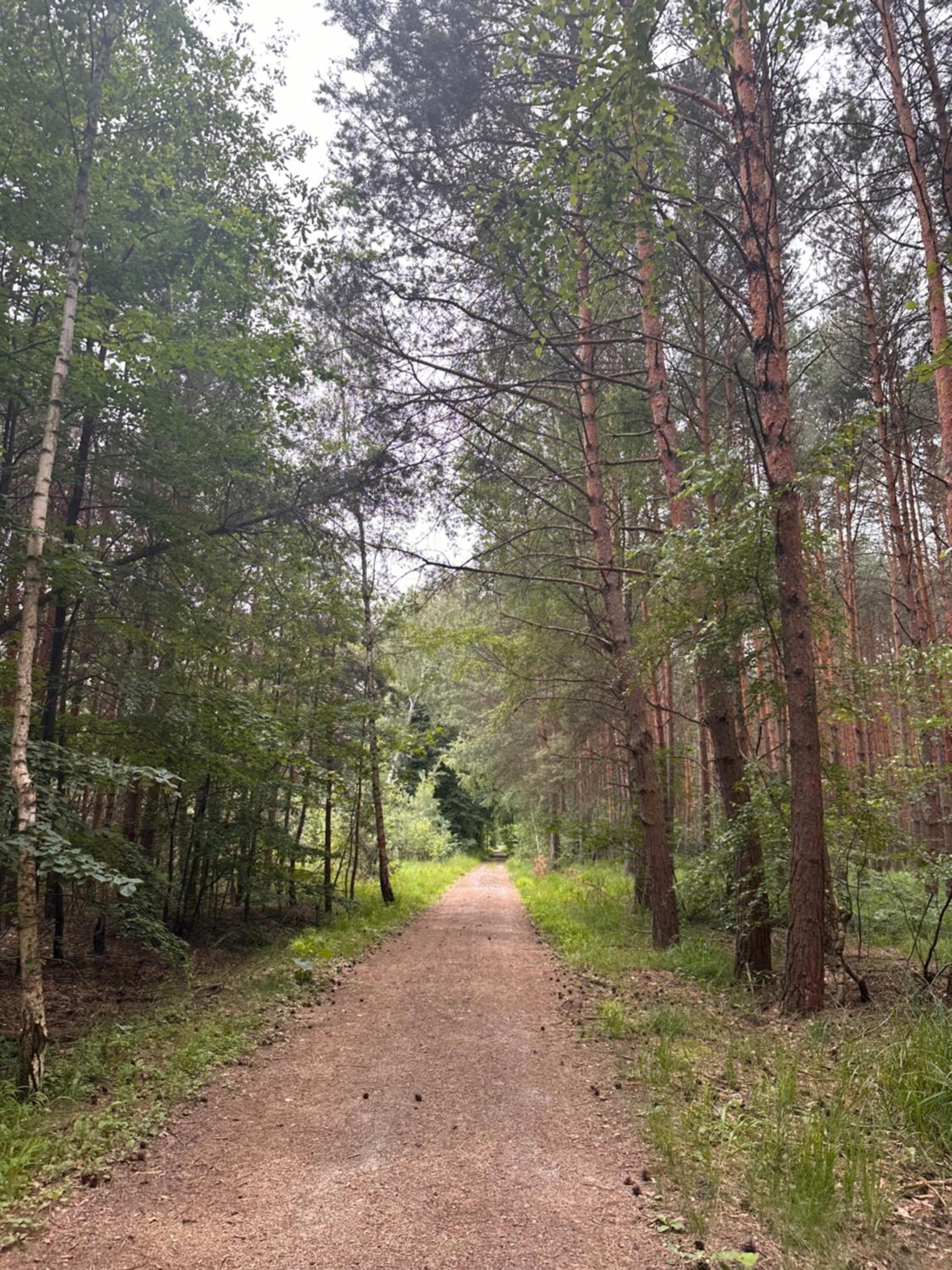Chatinka Kersku