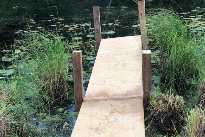 Cottage backing water