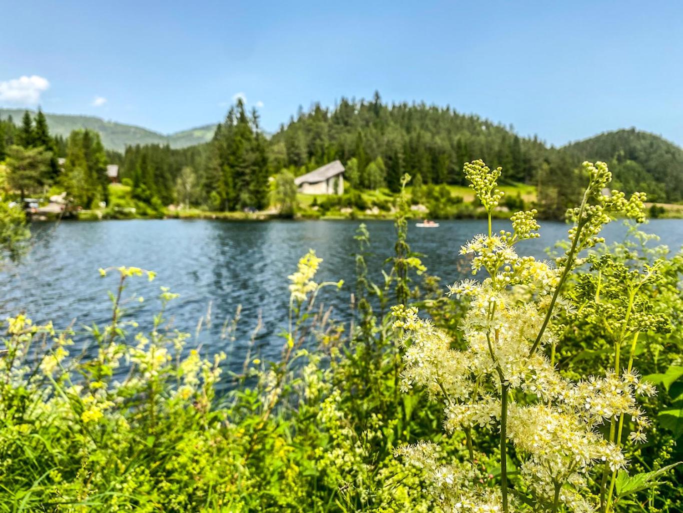 Chalet Hubertussee