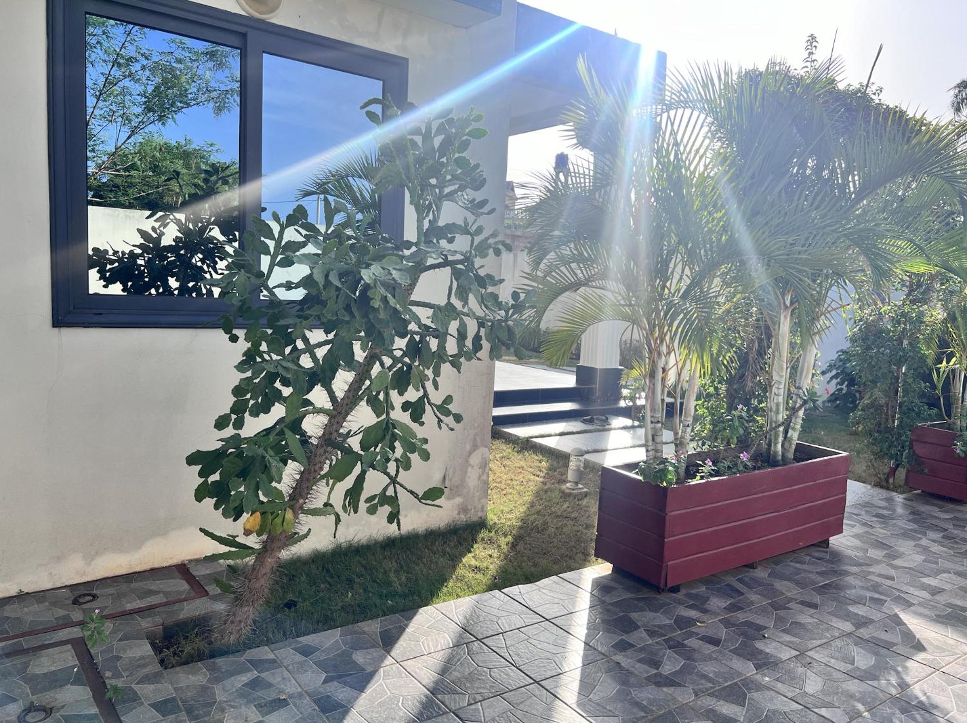 Happy Garden